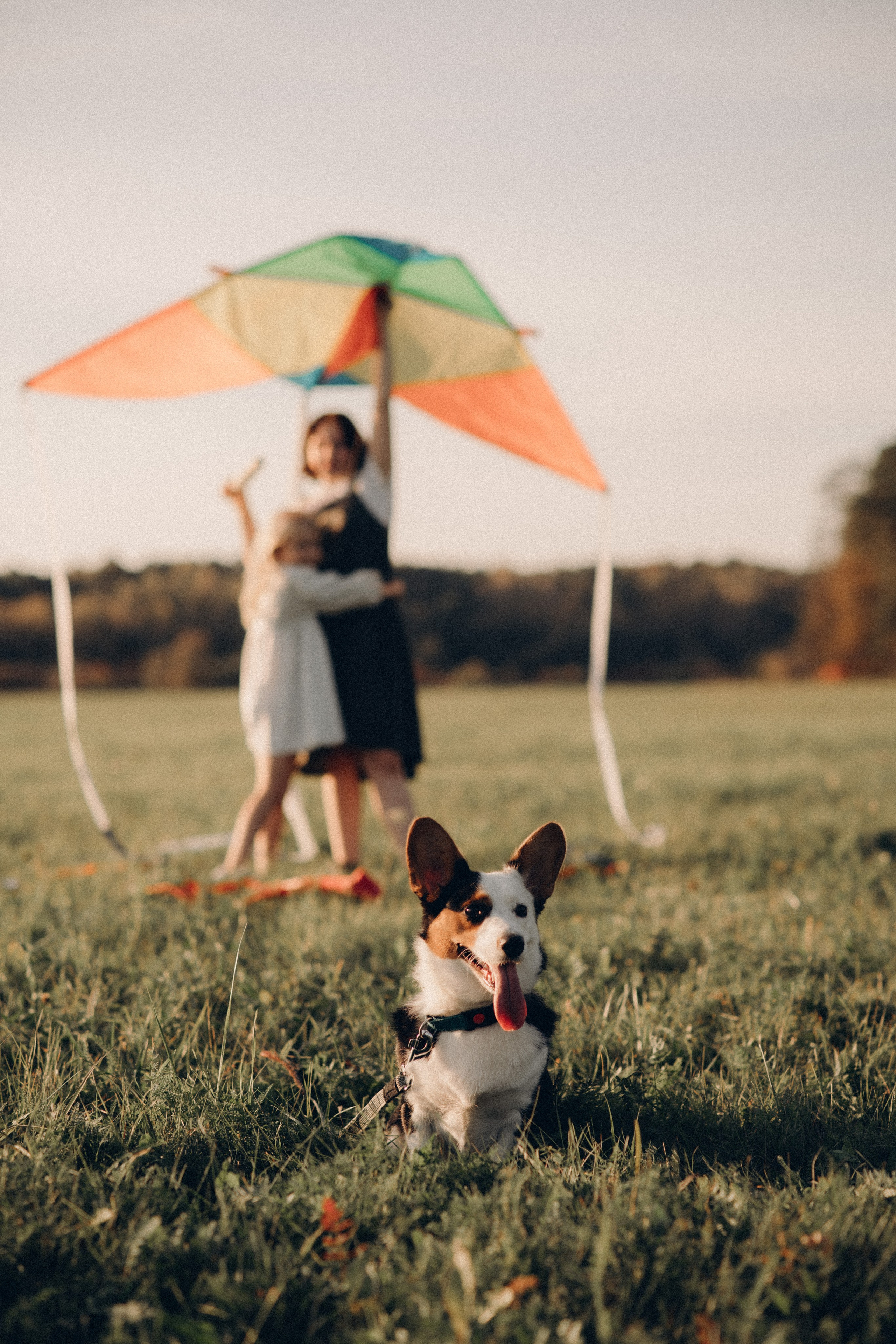 Семейные фотосессии. Фотограф Алиса Чечина. Калуга. Товарково