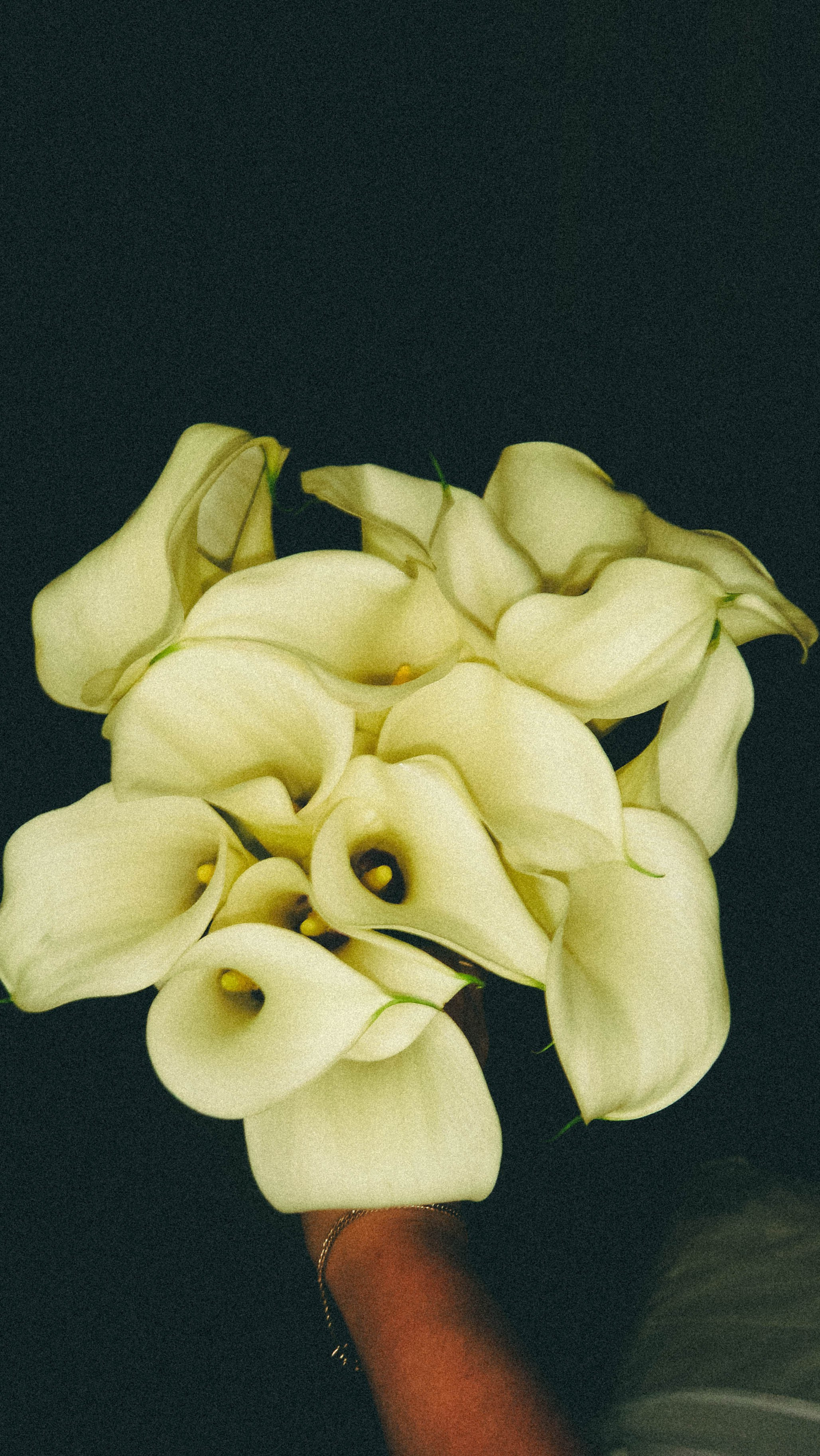 Владислав и Виктория (Фото на мыльницу). Фотограф в Ставрополе Алина Клочкова