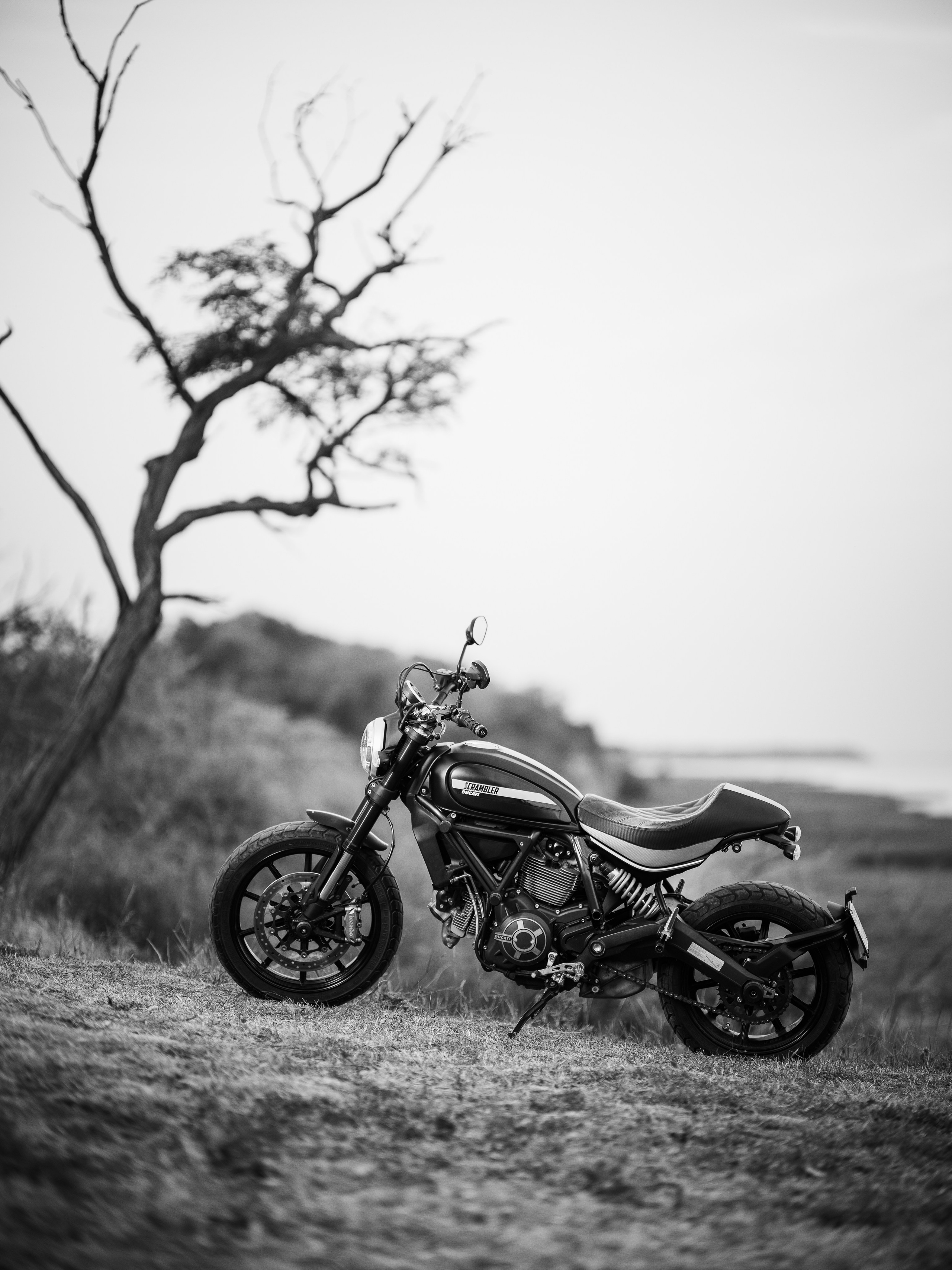 Художественные фотосессии. Фотограф Олег Сотник