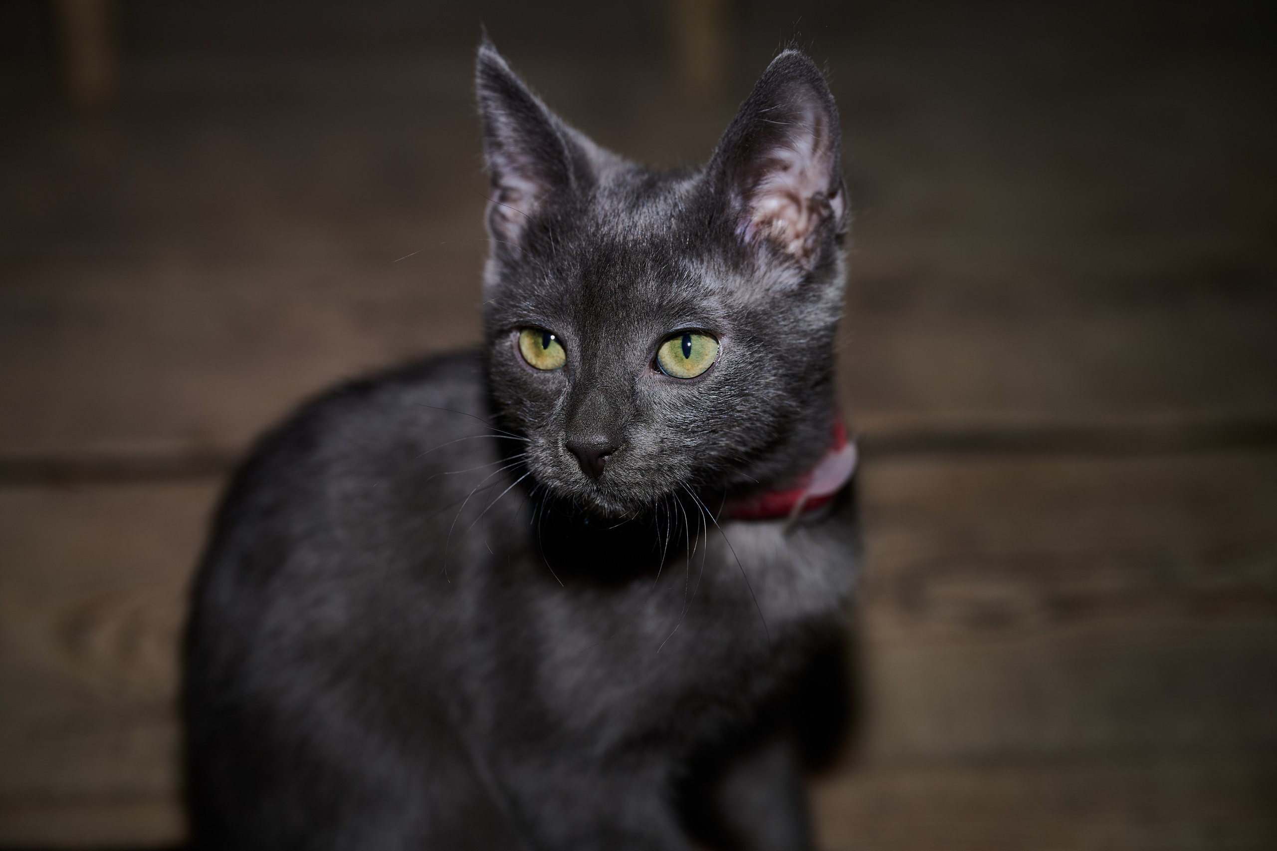 Фото для презентации фотопроекта «Территории». Фотопроект «Территории»