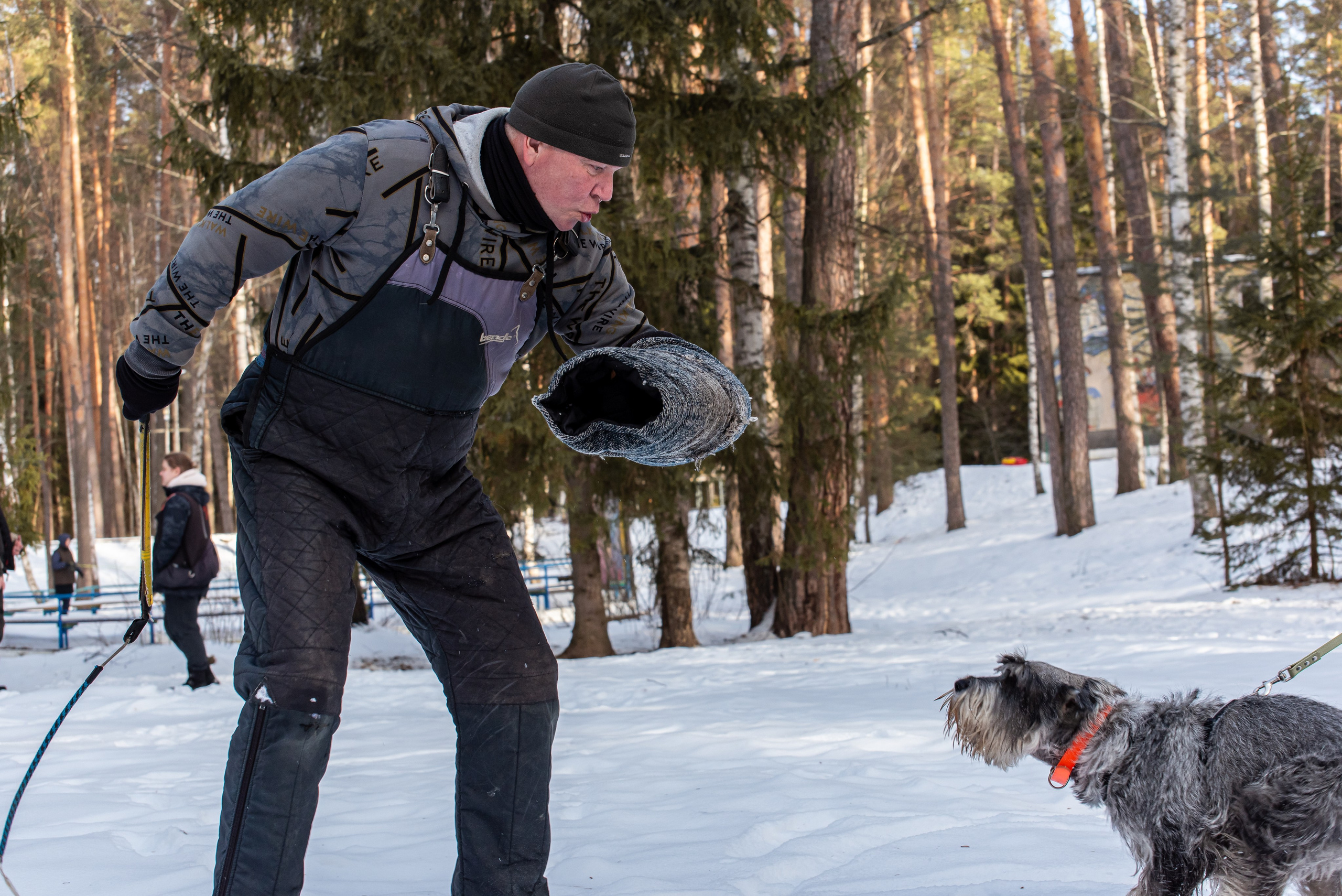 Фотосъёмка с собаками в Кинологическом лагере. Фотограф Макс Огурцов в Нижнем Новгороде