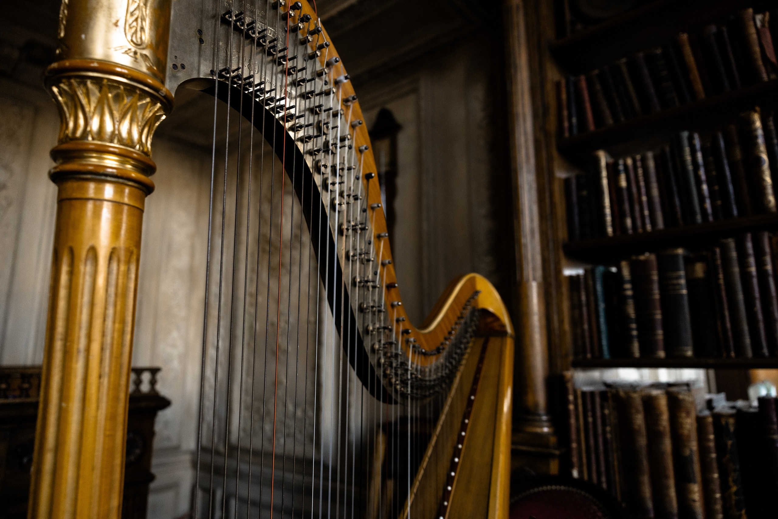 Илья и Яна. Фотограф Москва