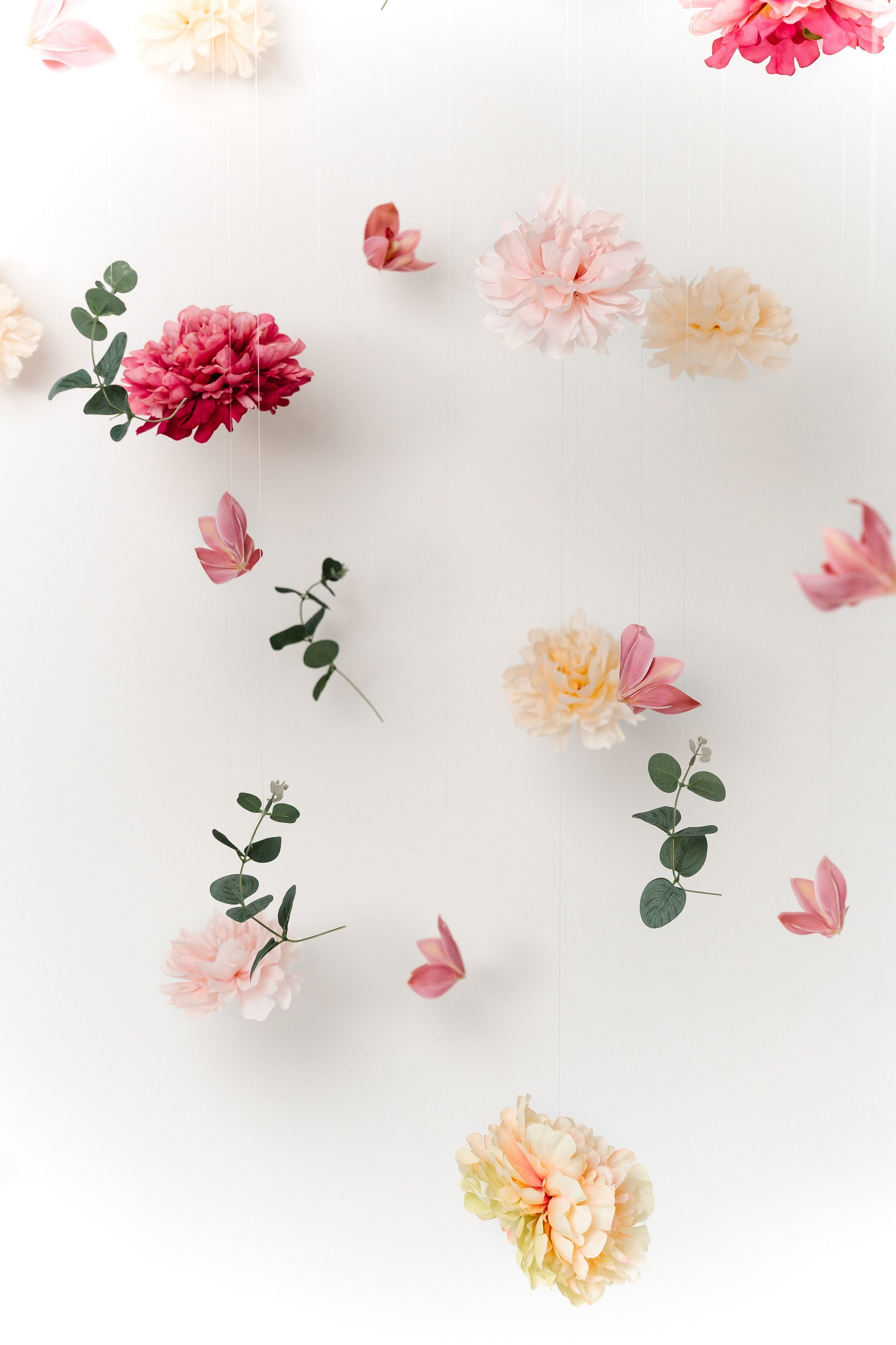 Обзор студии. «Лама» Детская фотостудия Уфа