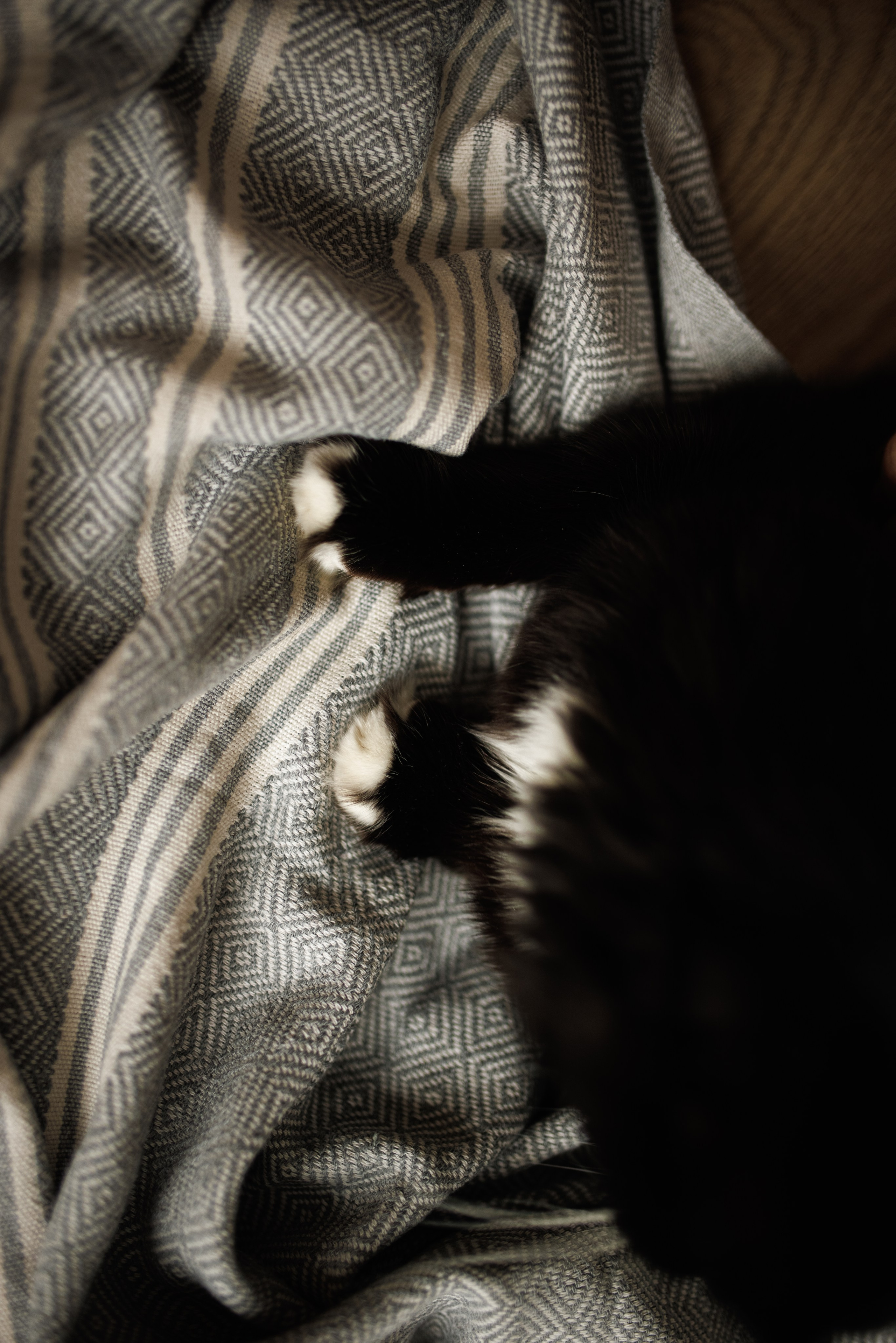 Предновогоднее настроение. Свадебный и семейный фотограф в Москве Julia Juice