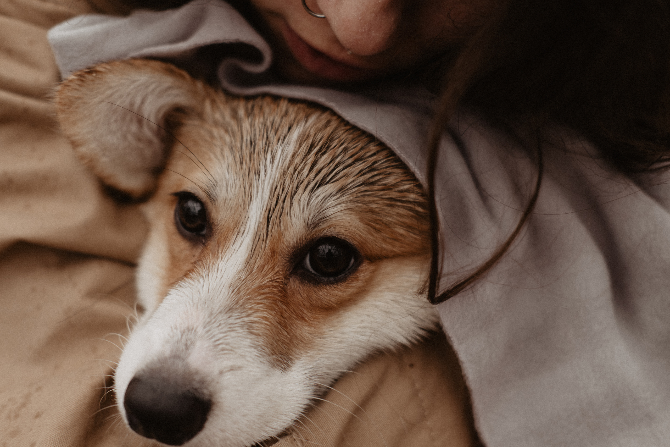 Свадбеная фотосъемка. Фотограф Муратова Алена