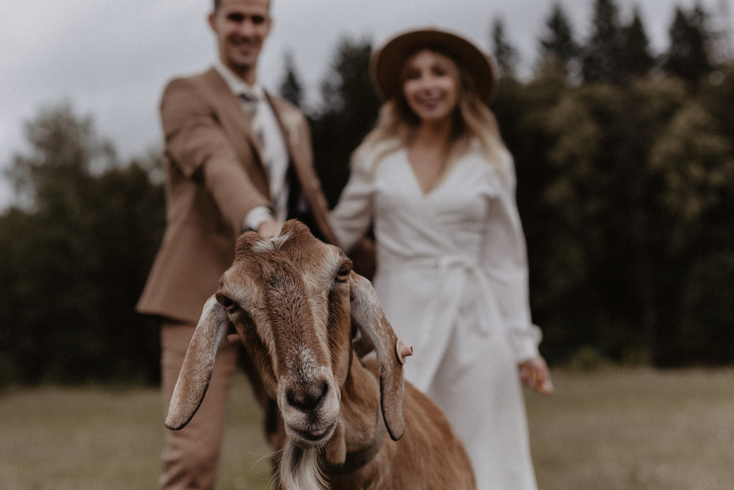 Свадбеная фотосъемка. Фотограф Муратова Алена