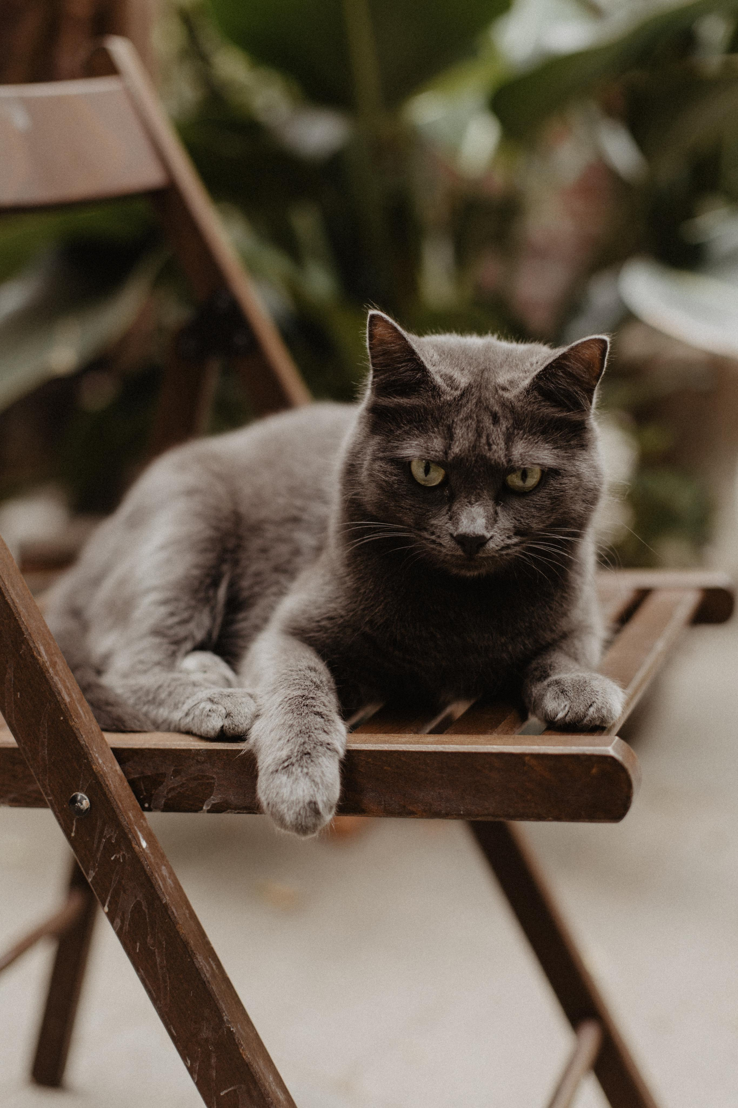 Свадебная фотосъемка. Фотограф Муратова Алена