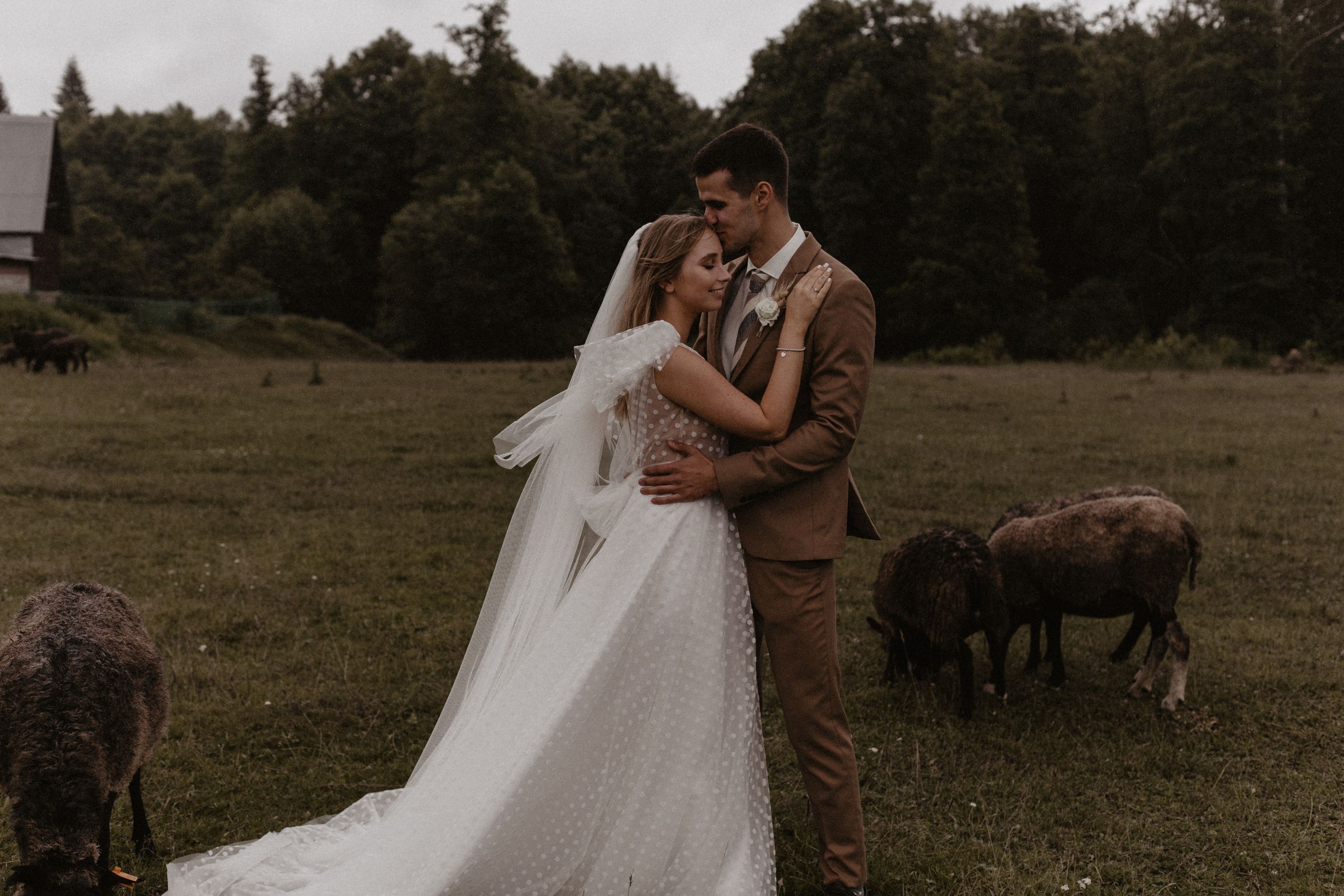 Свадбеная фотосъемка. Фотограф Муратова Алена