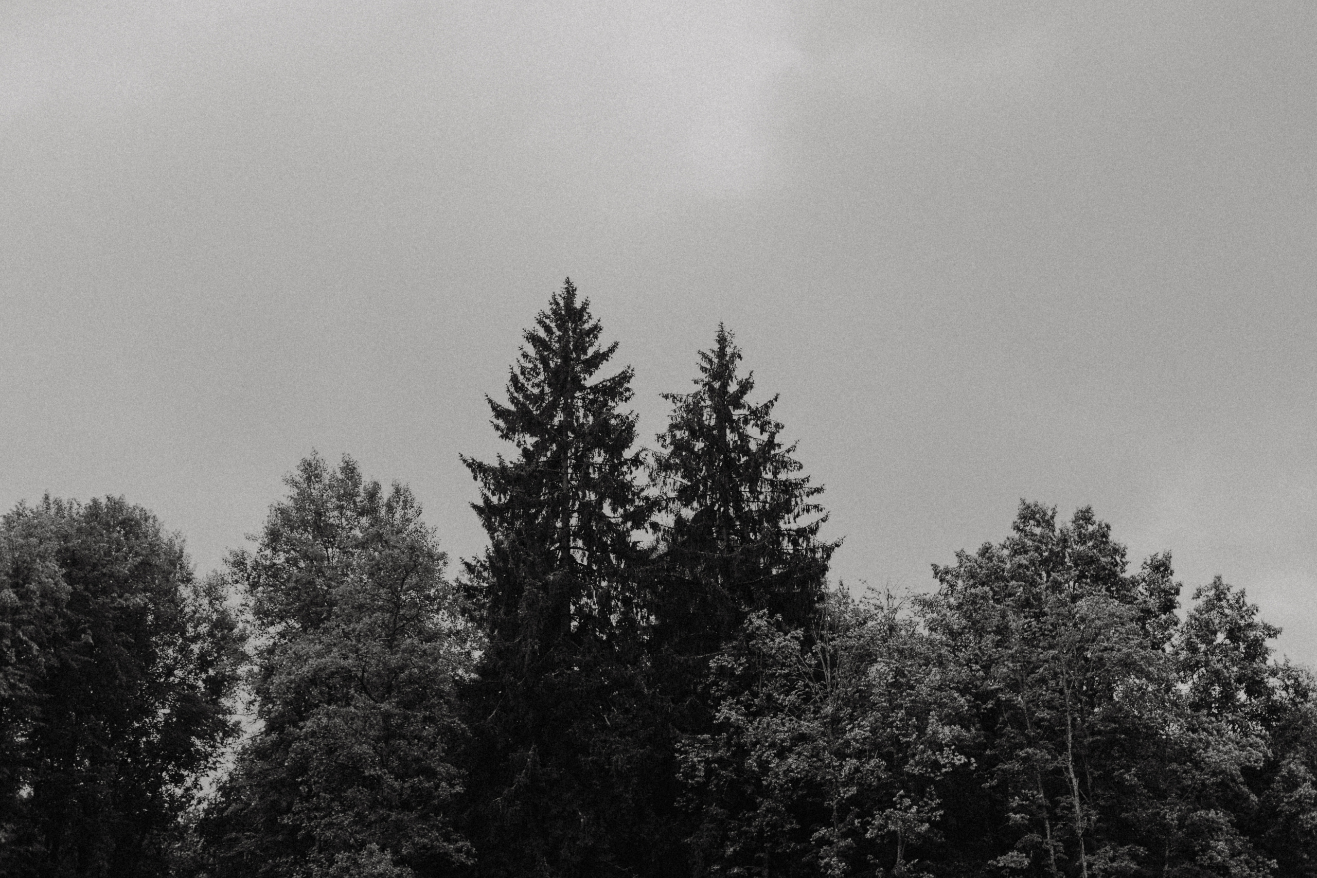 Свадбеная фотосъемка. Фотограф Муратова Алена