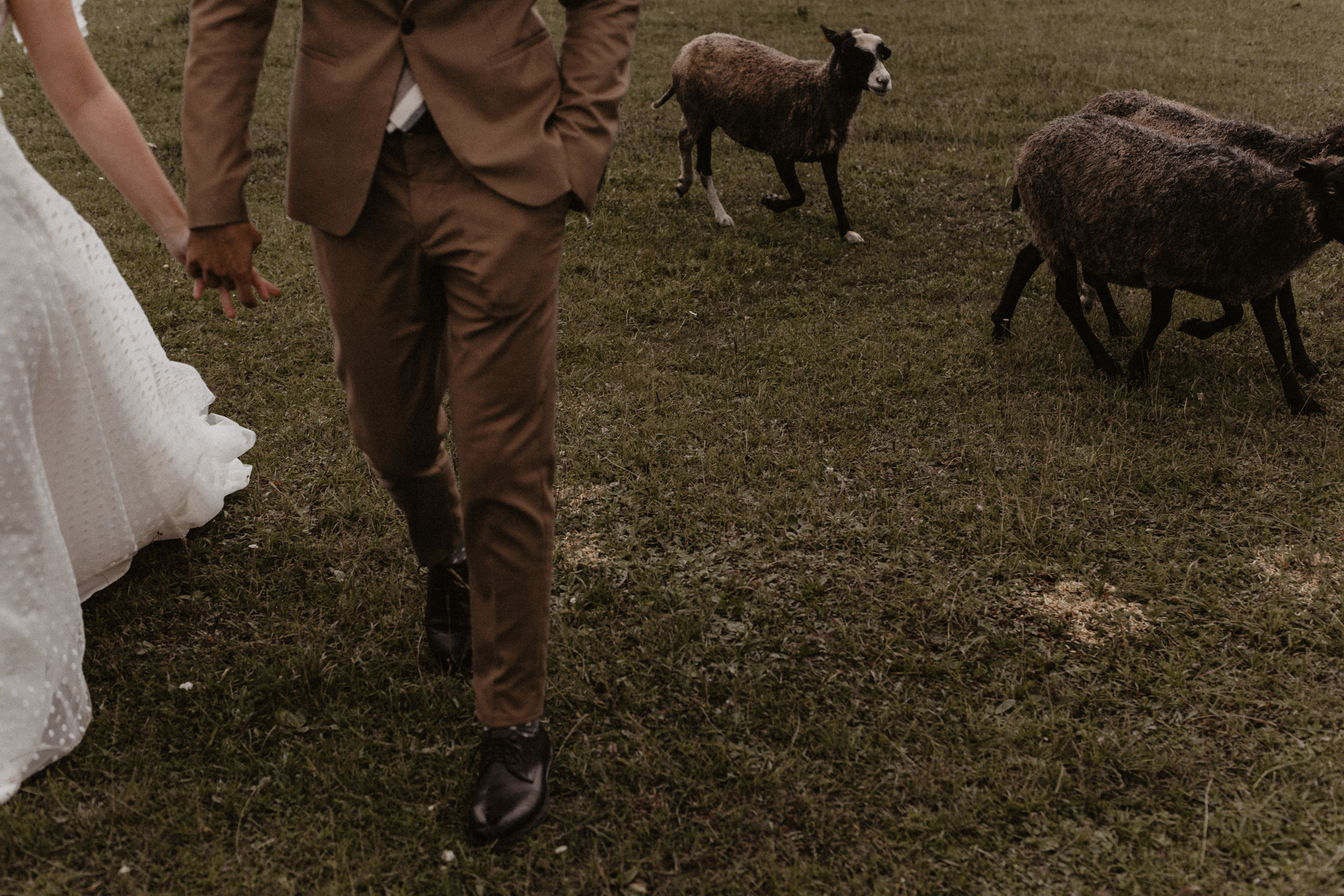 Свадбеная фотосъемка. Фотограф Муратова Алена