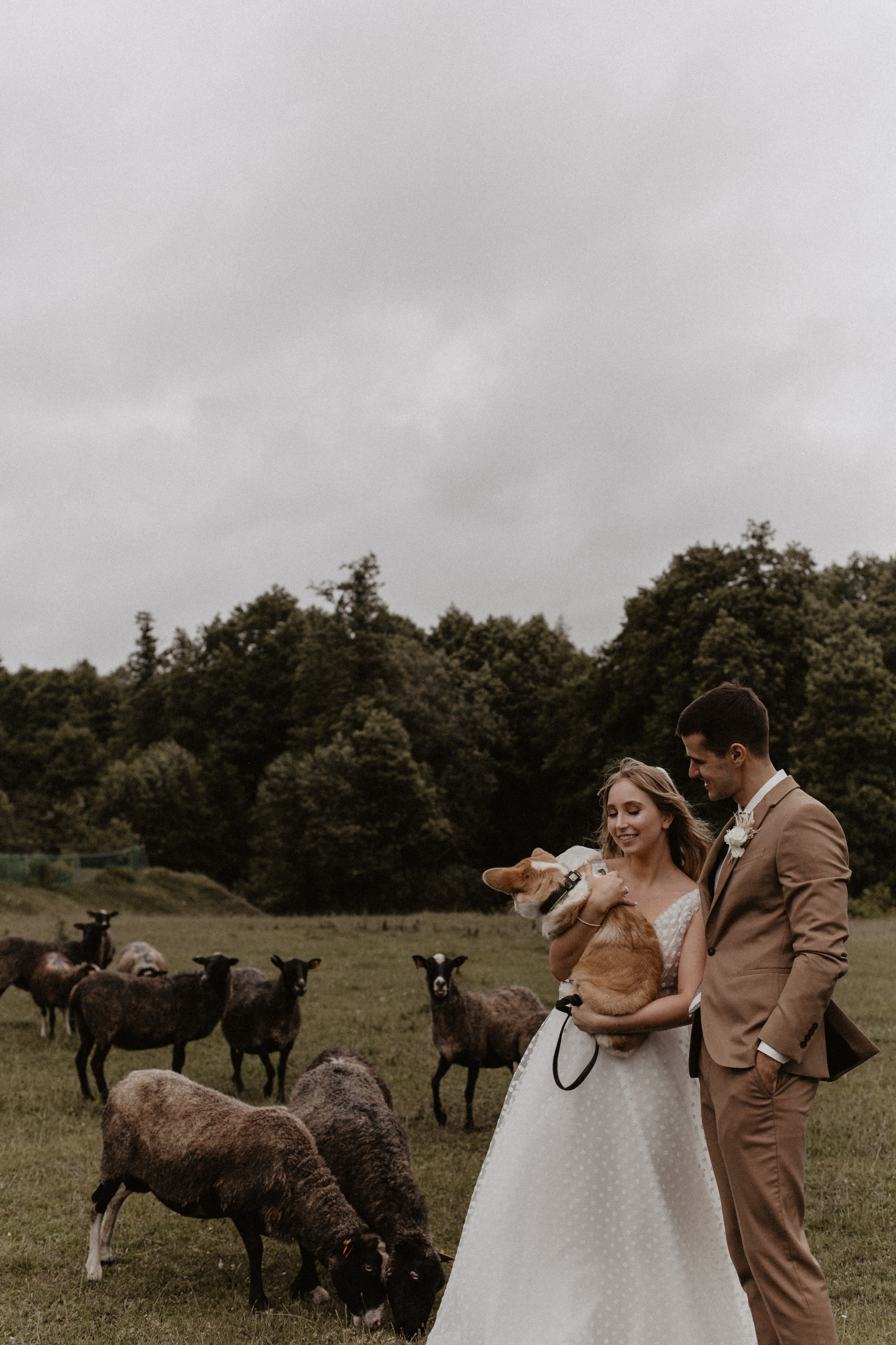 Свадбеная фотосъемка. Фотограф Муратова Алена