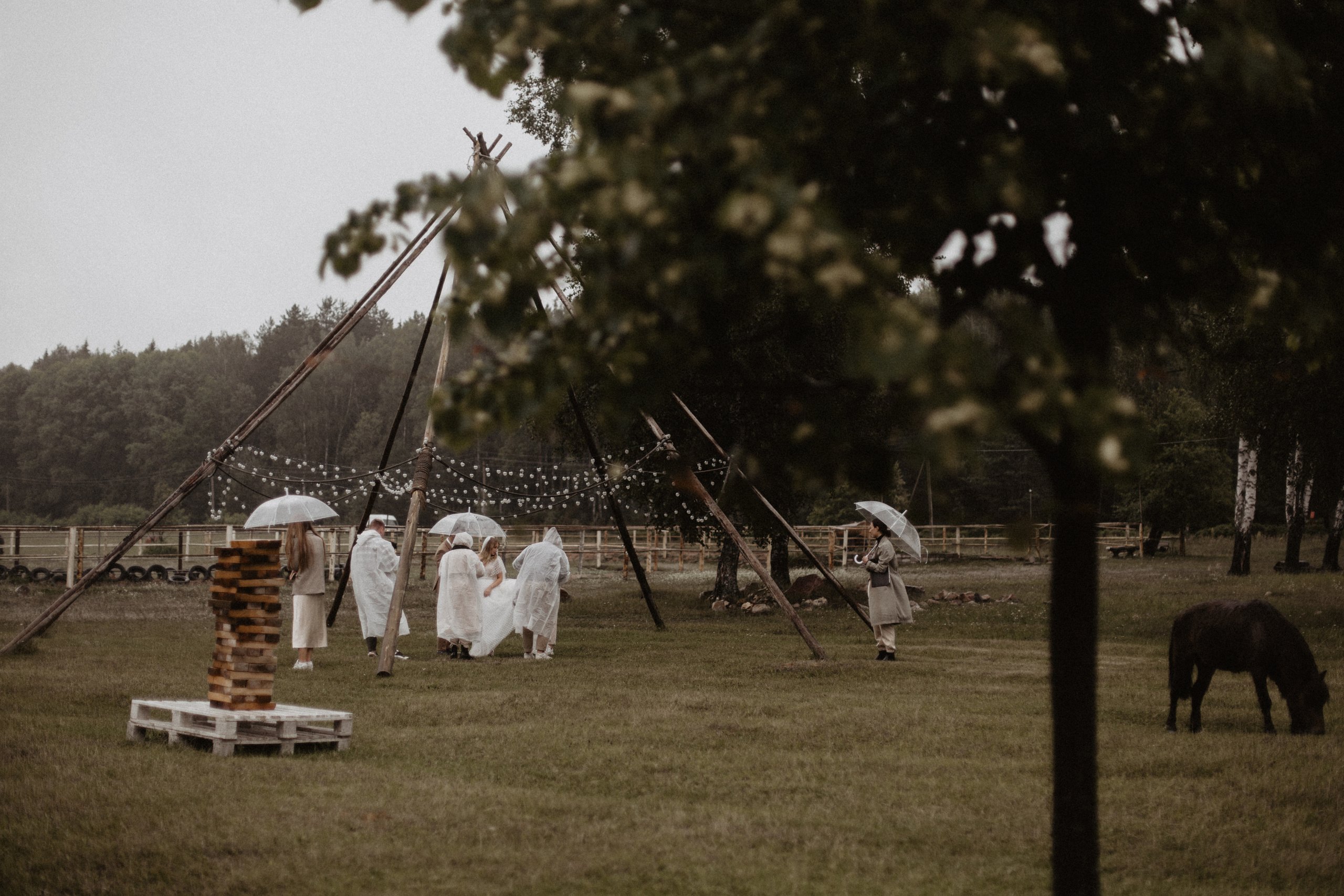Свадбеная фотосъемка. Фотограф Муратова Алена