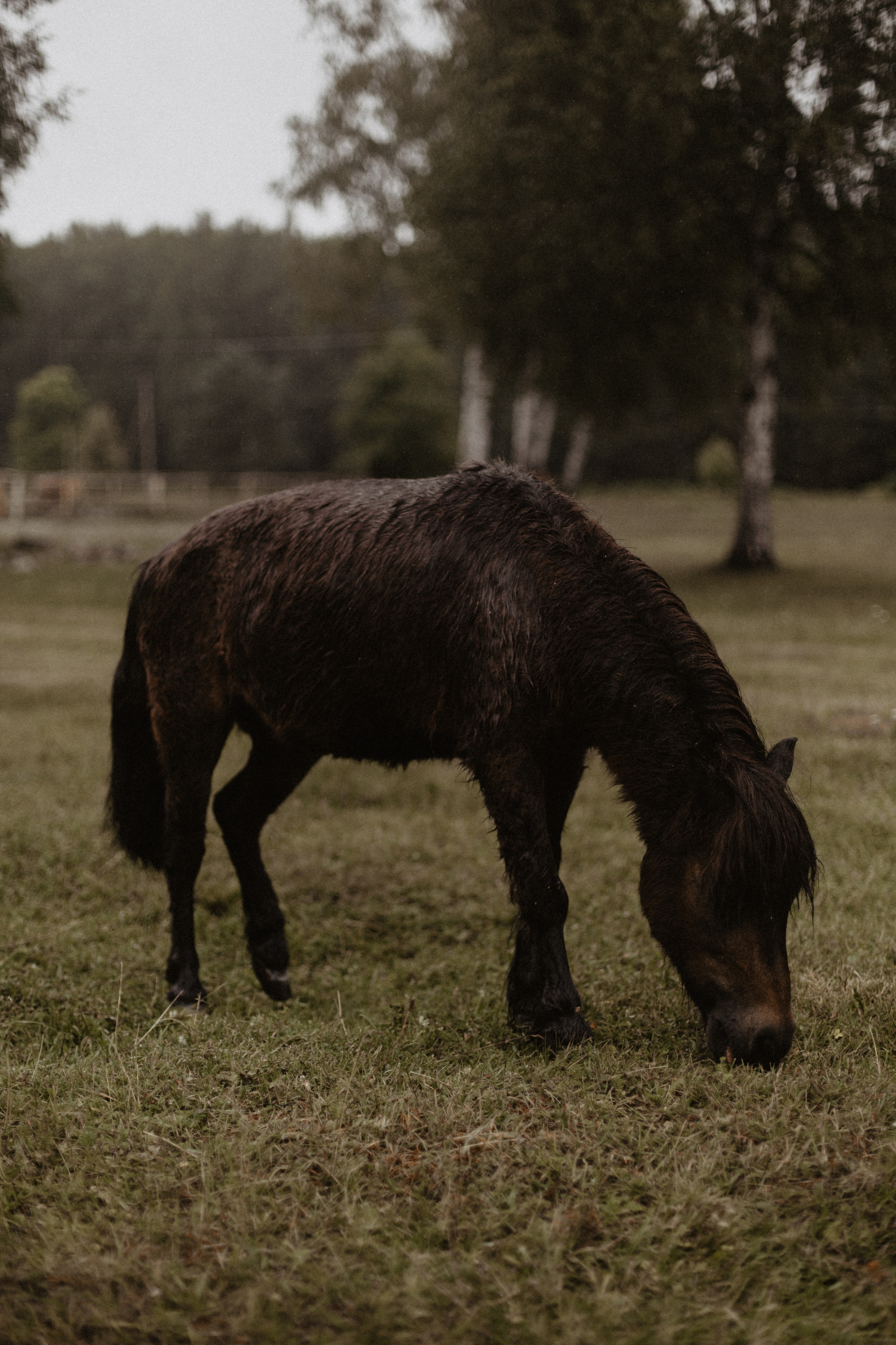 Свадбеная фотосъемка. Фотограф Муратова Алена