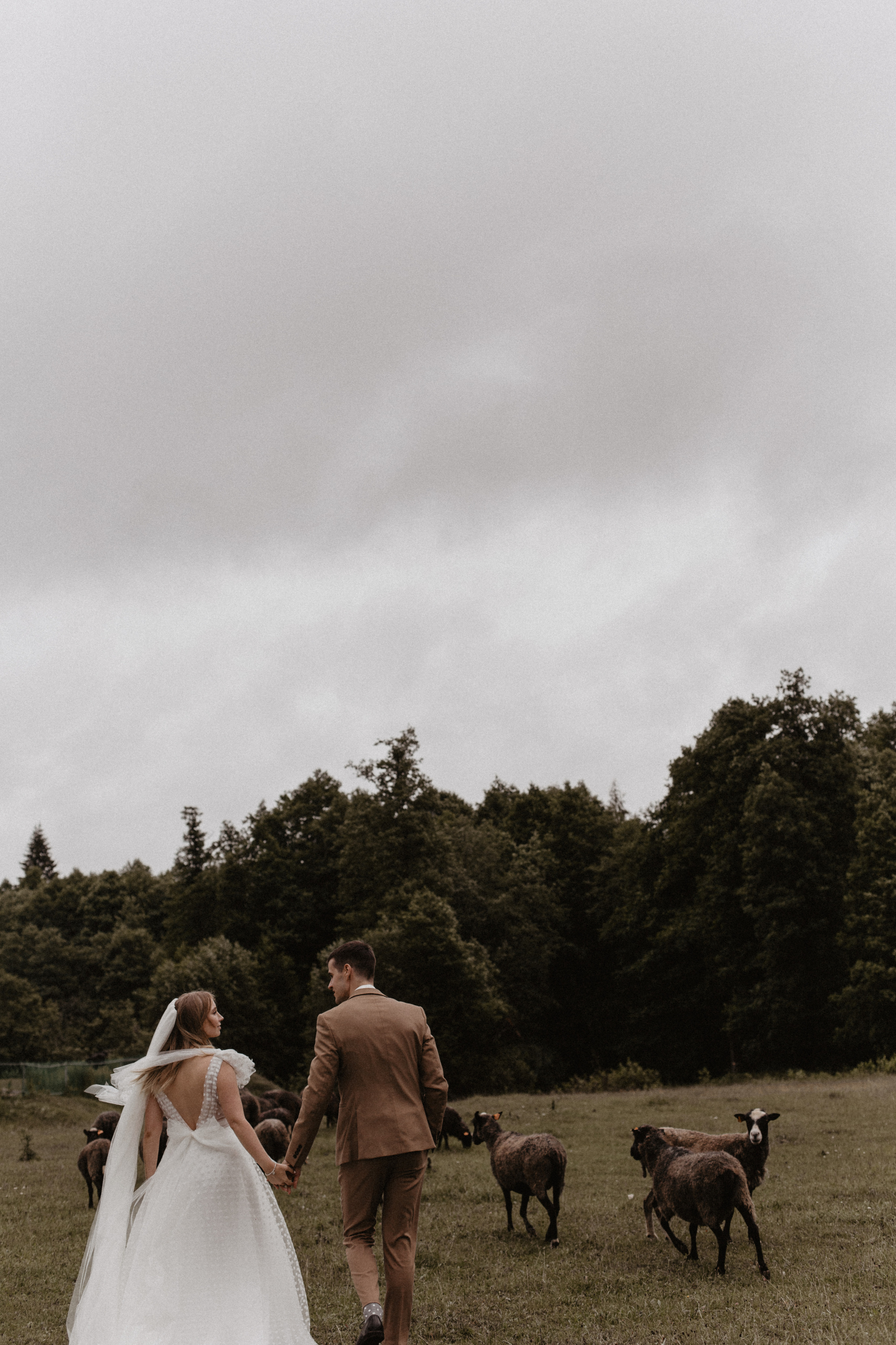 Свадбеная фотосъемка. Фотограф Муратова Алена