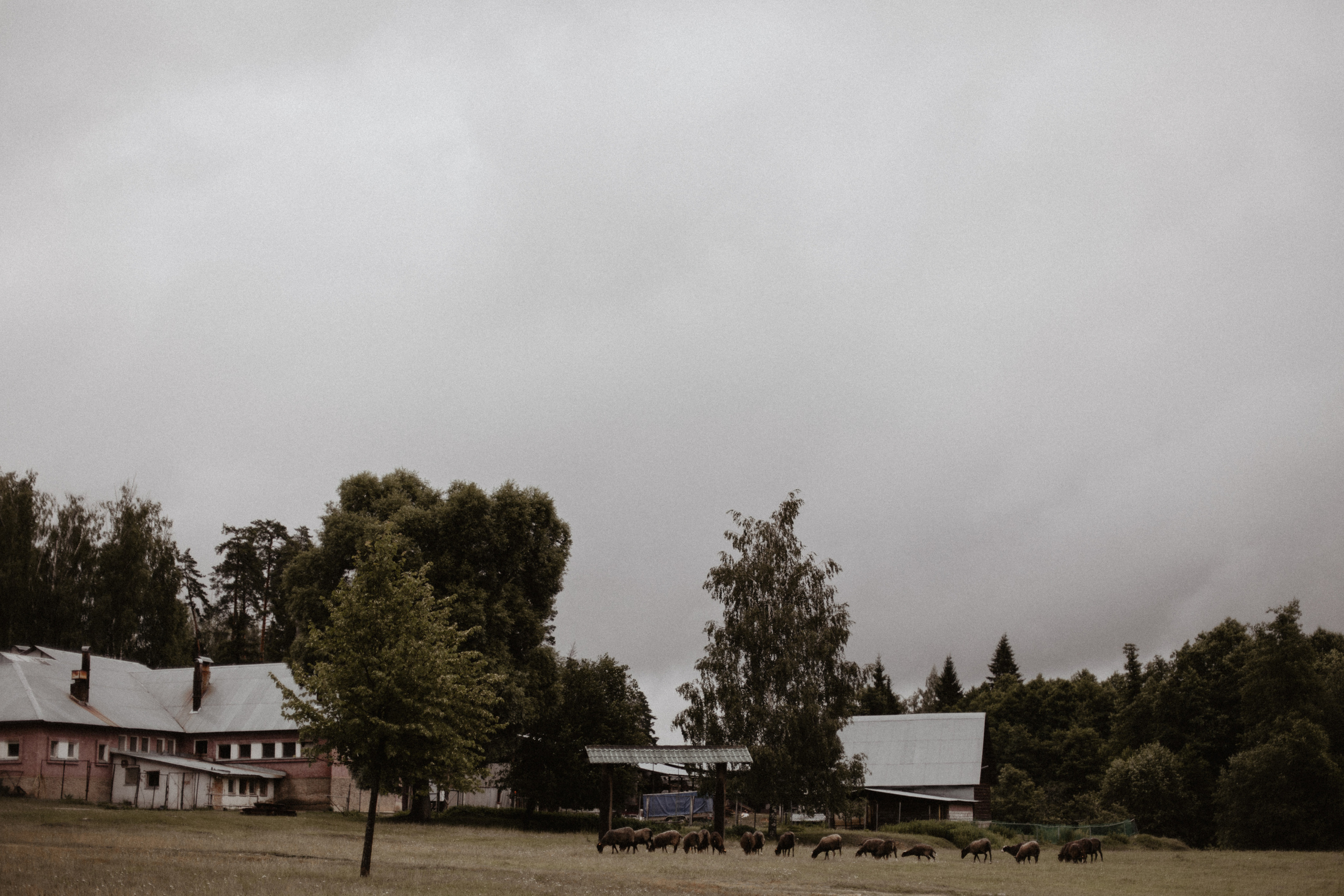 Свадбеная фотосъемка. Фотограф Муратова Алена