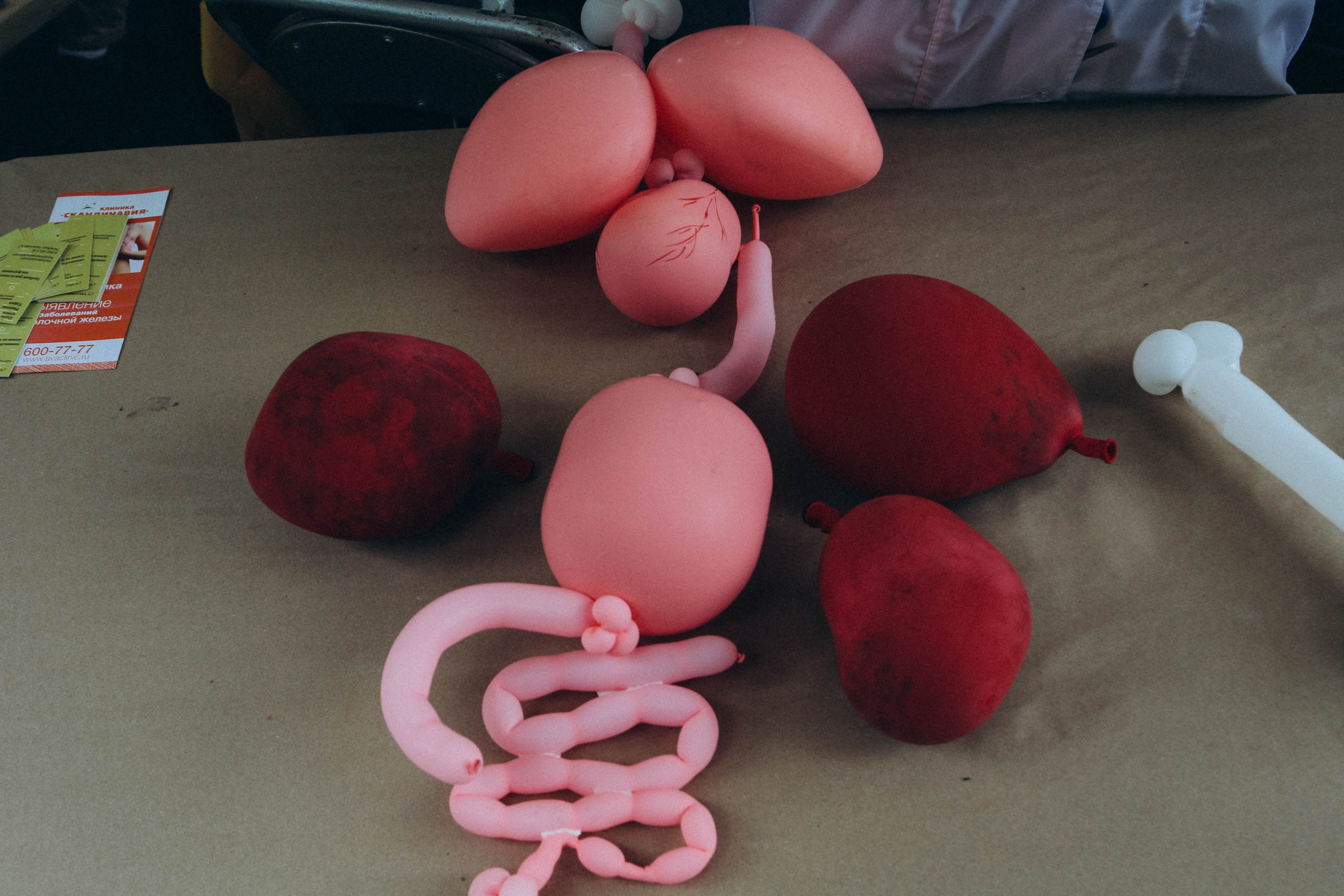 Фестиваль LifePicnik на Елагином острове. Репортажный фотограф во Всеволожске и Санкт-Петербурге Владимир Капустин