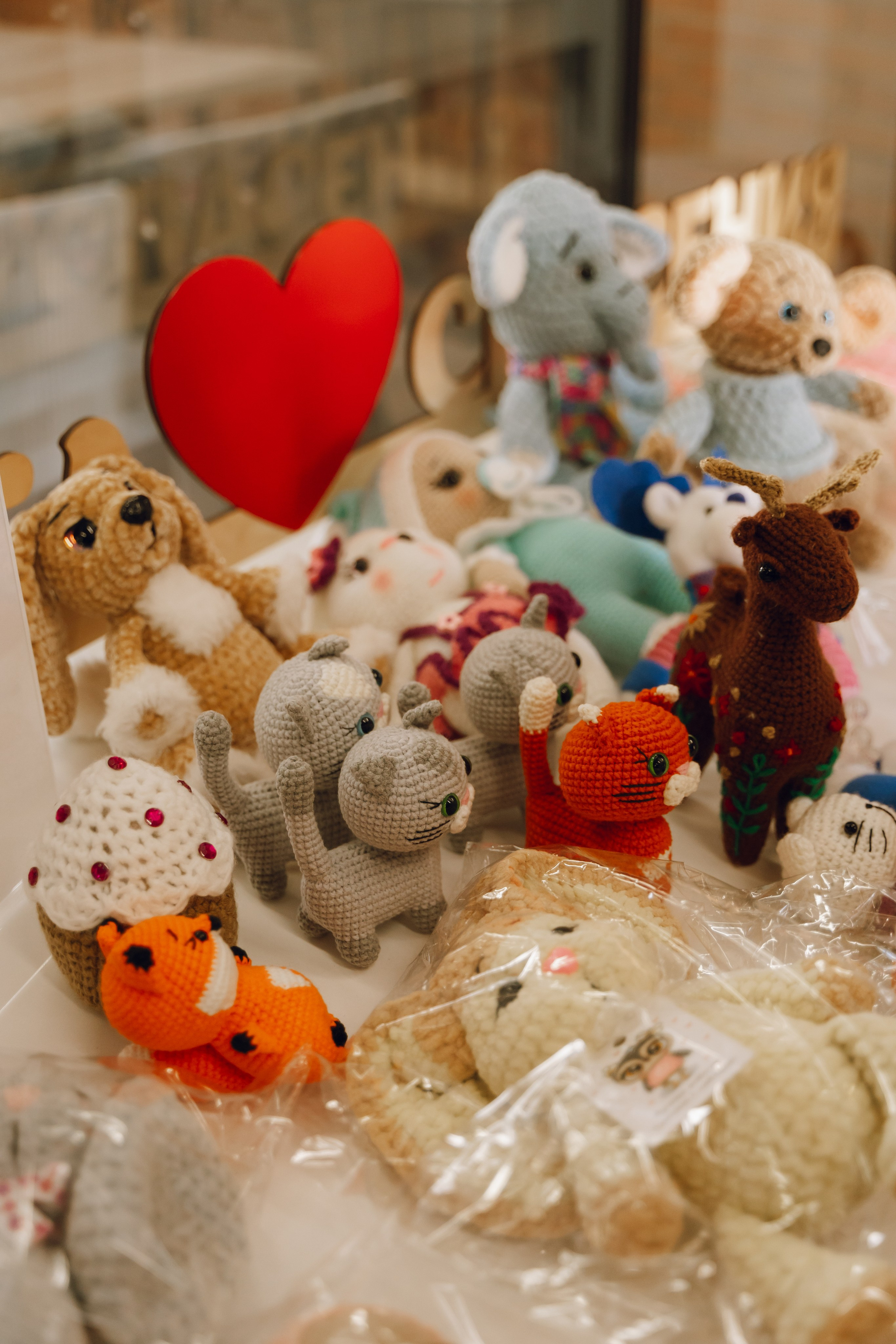 День молодежи в Доме молодежи 2025. Фотограф Надежда Погребняк | Рязань | Москва