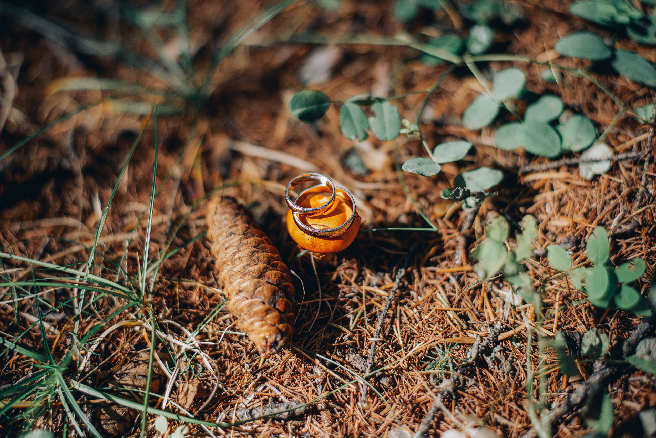 Свадебная и концептуальная фотография в городе Улан-Удэ