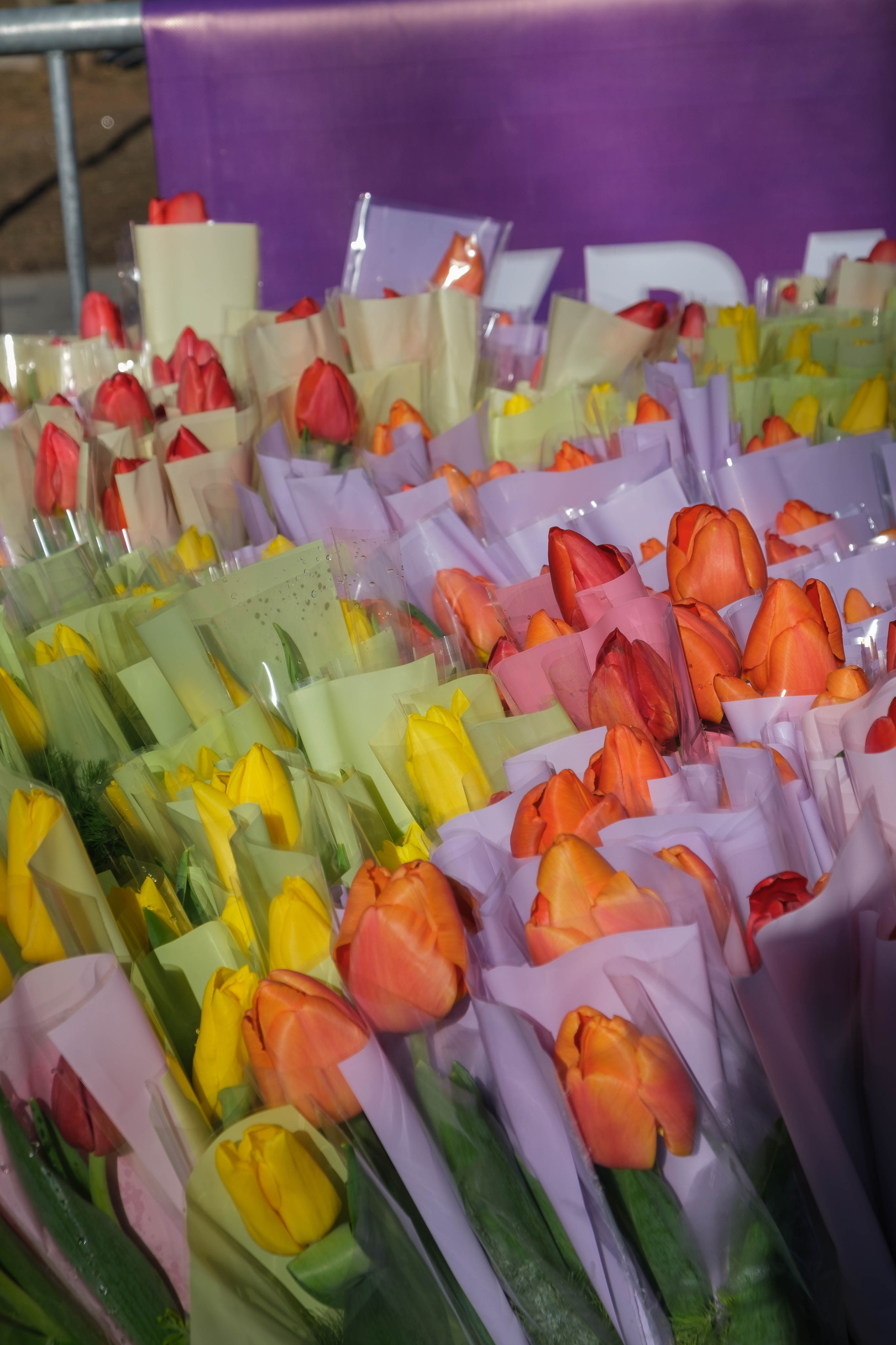 8 марта в парке. Фотограф Диана Иремадзе