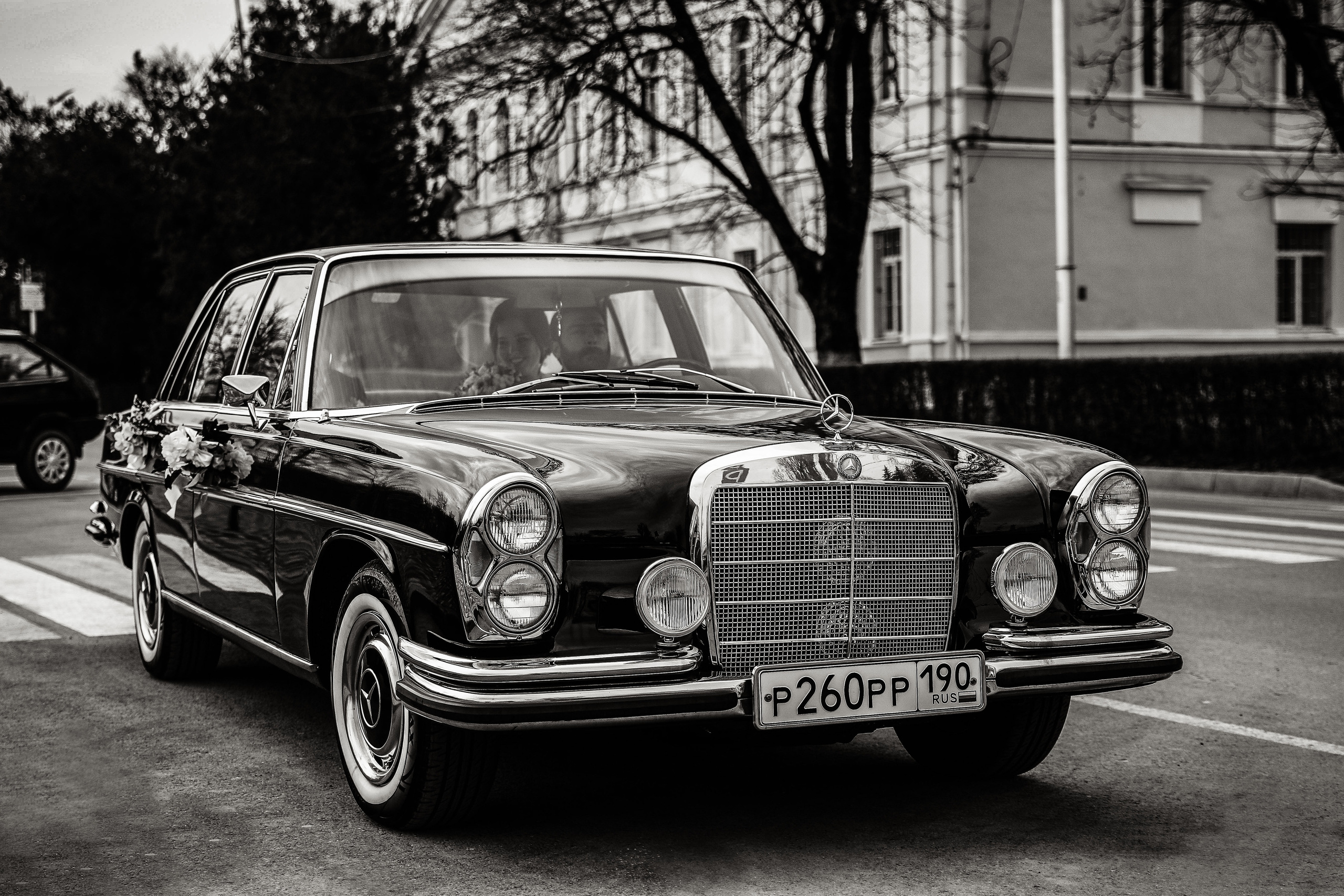 Alexandr & Elizabeth. Фотограф Илья Хачатурян