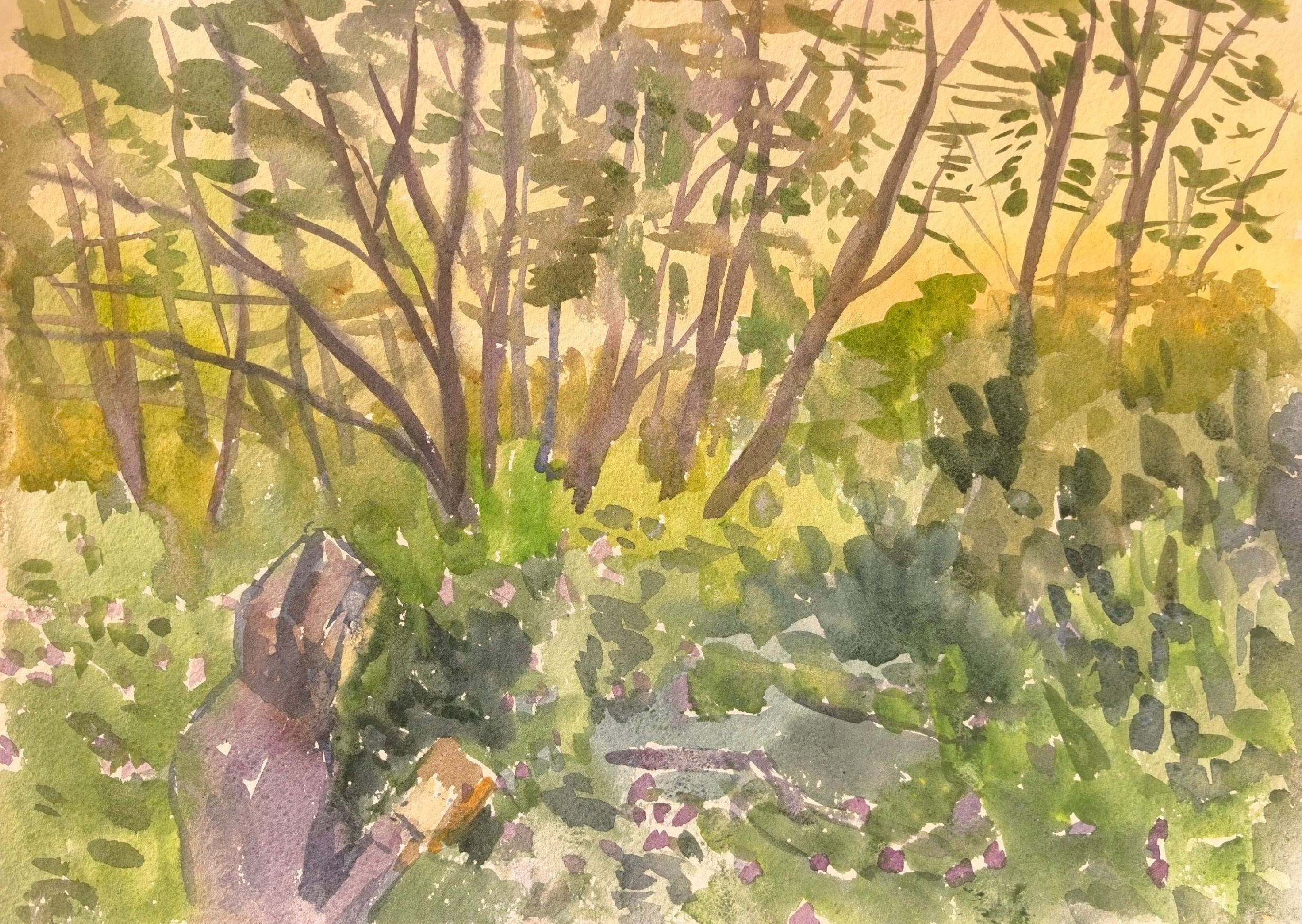 Походы. Художник и гид по Камчатке Евгений Чайкин