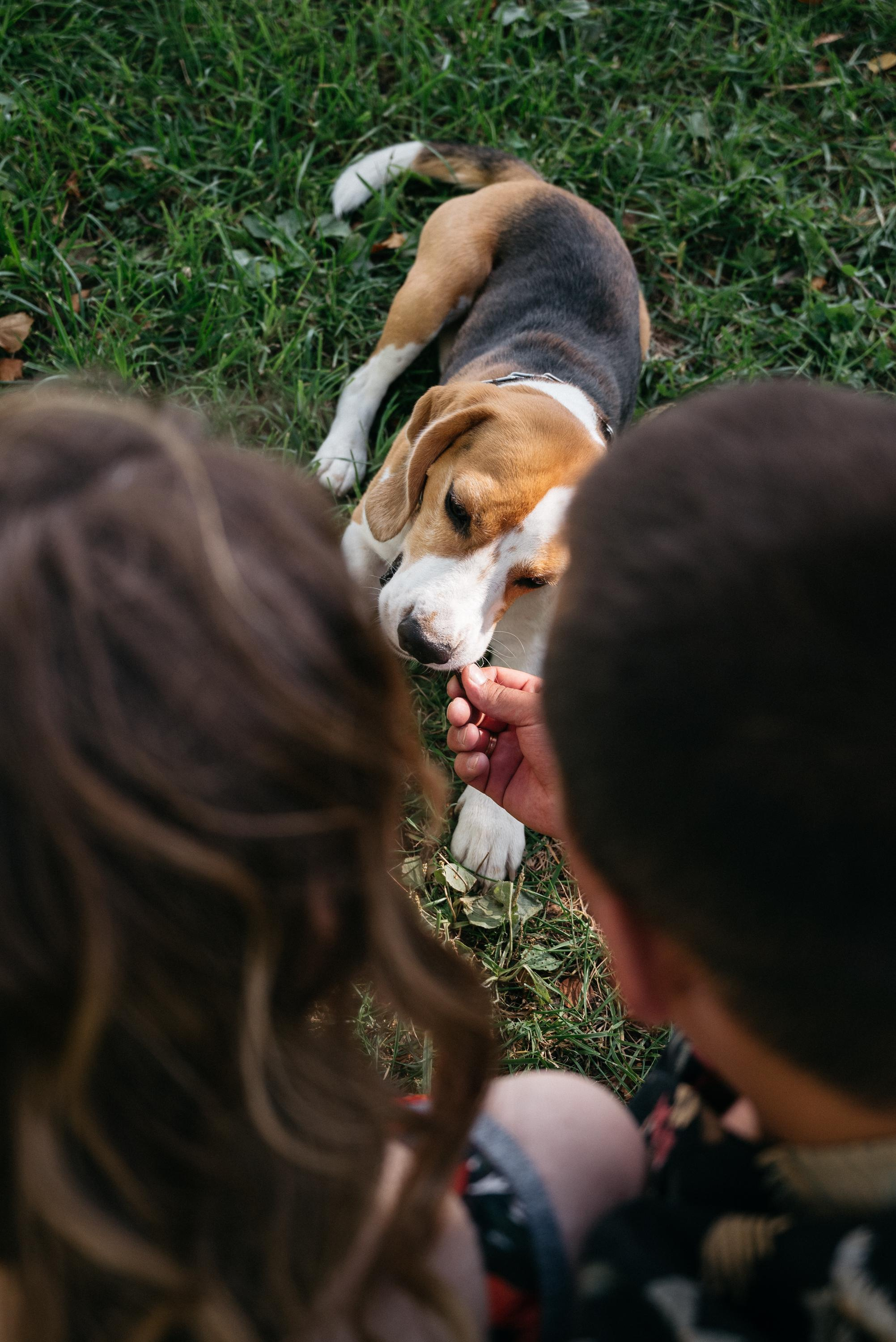 На площади. Свадебный фотограф Ижевск Петр Шишков