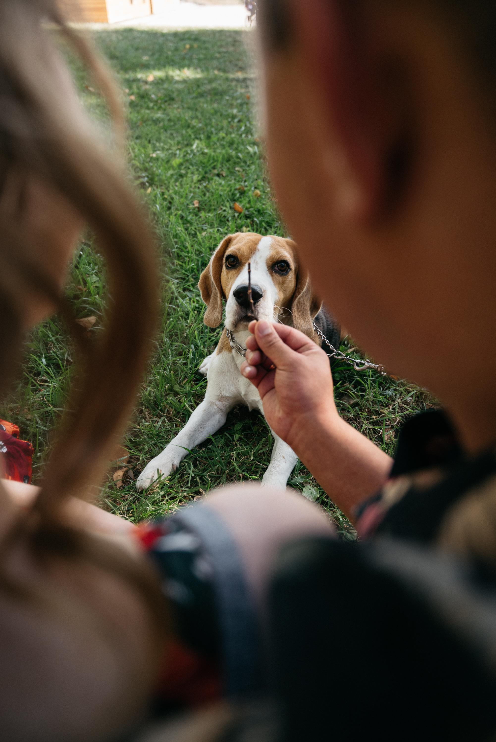 На площади. Свадебный фотограф Ижевск Петр Шишков