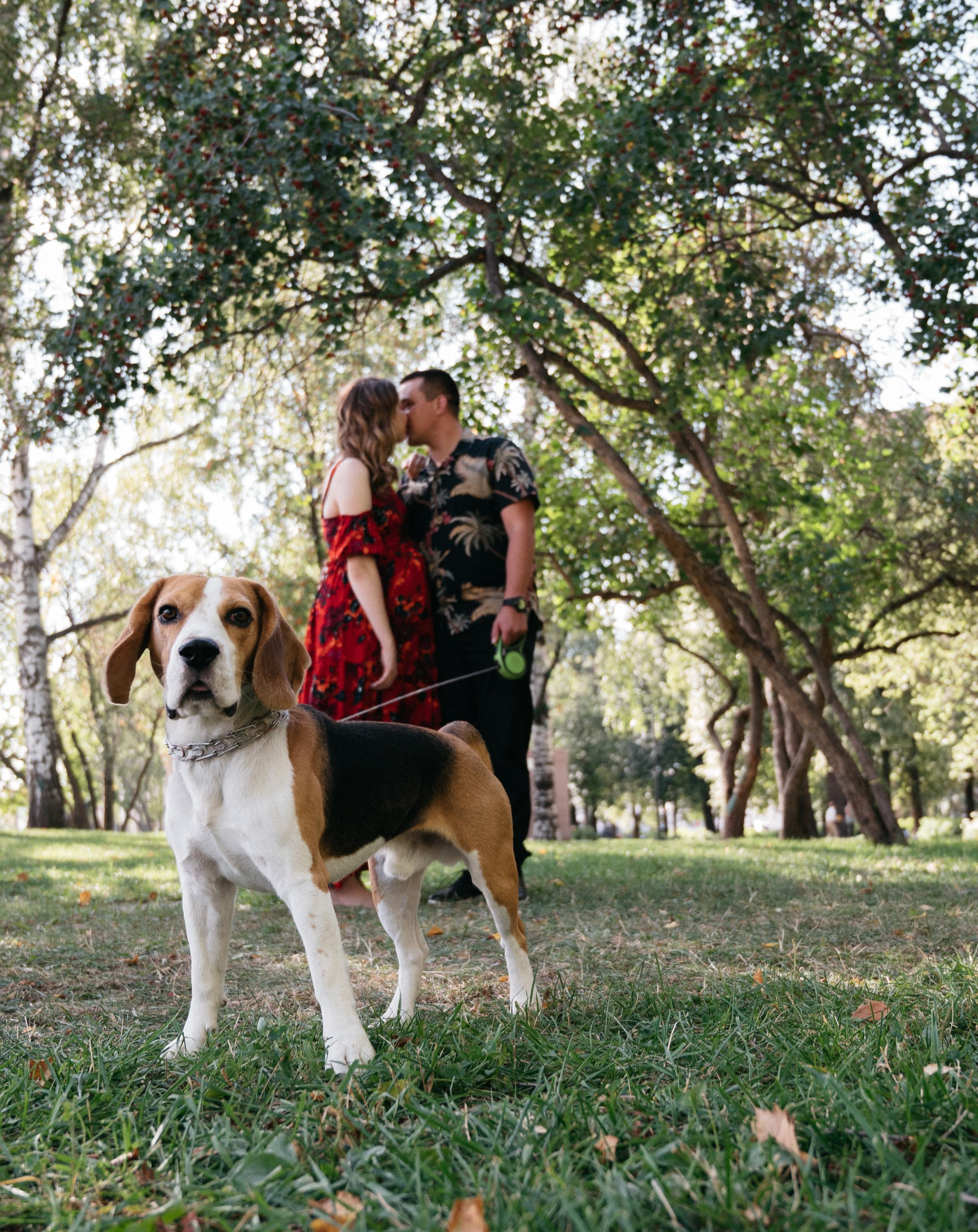 На площади. Свадебный фотограф Ижевск Петр Шишков