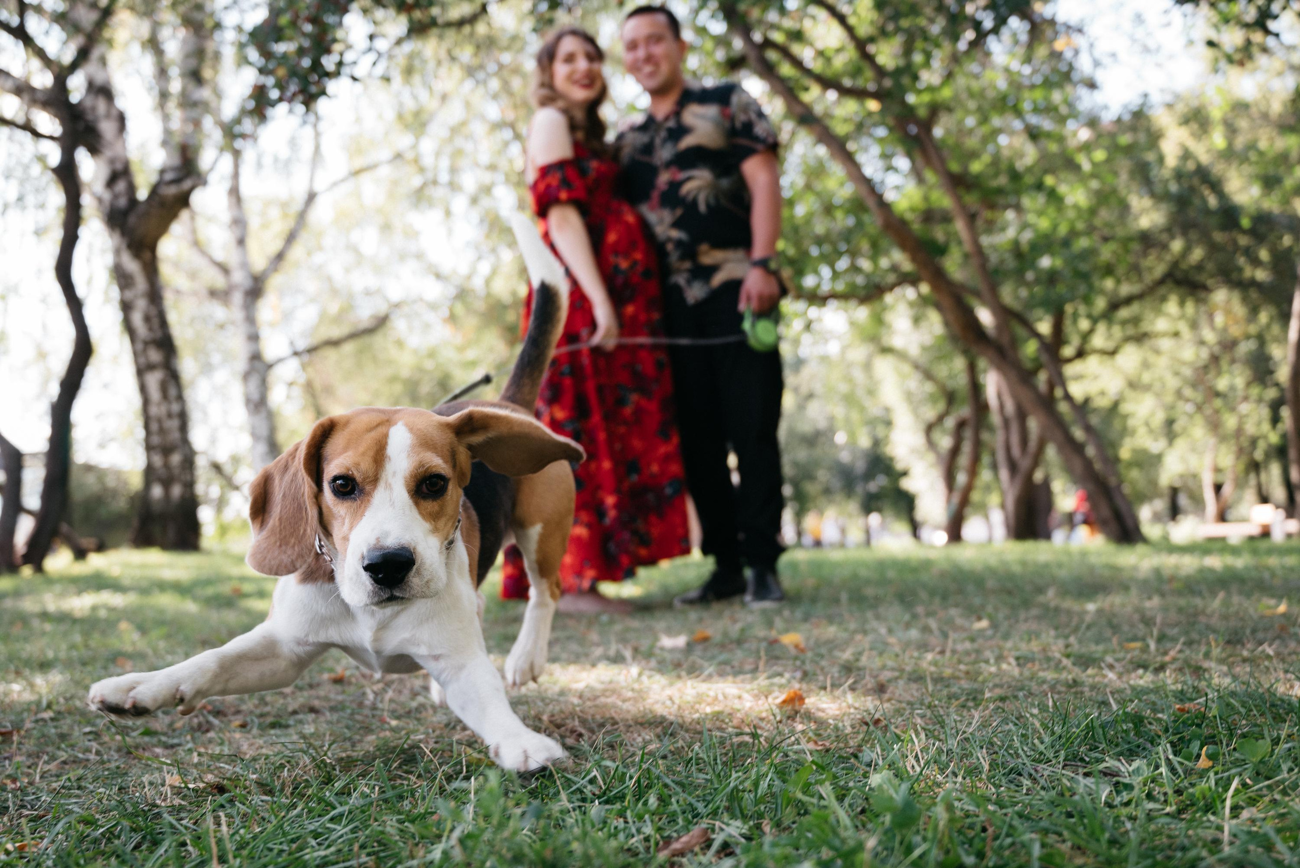 На площади. Свадебный фотограф Ижевск Петр Шишков