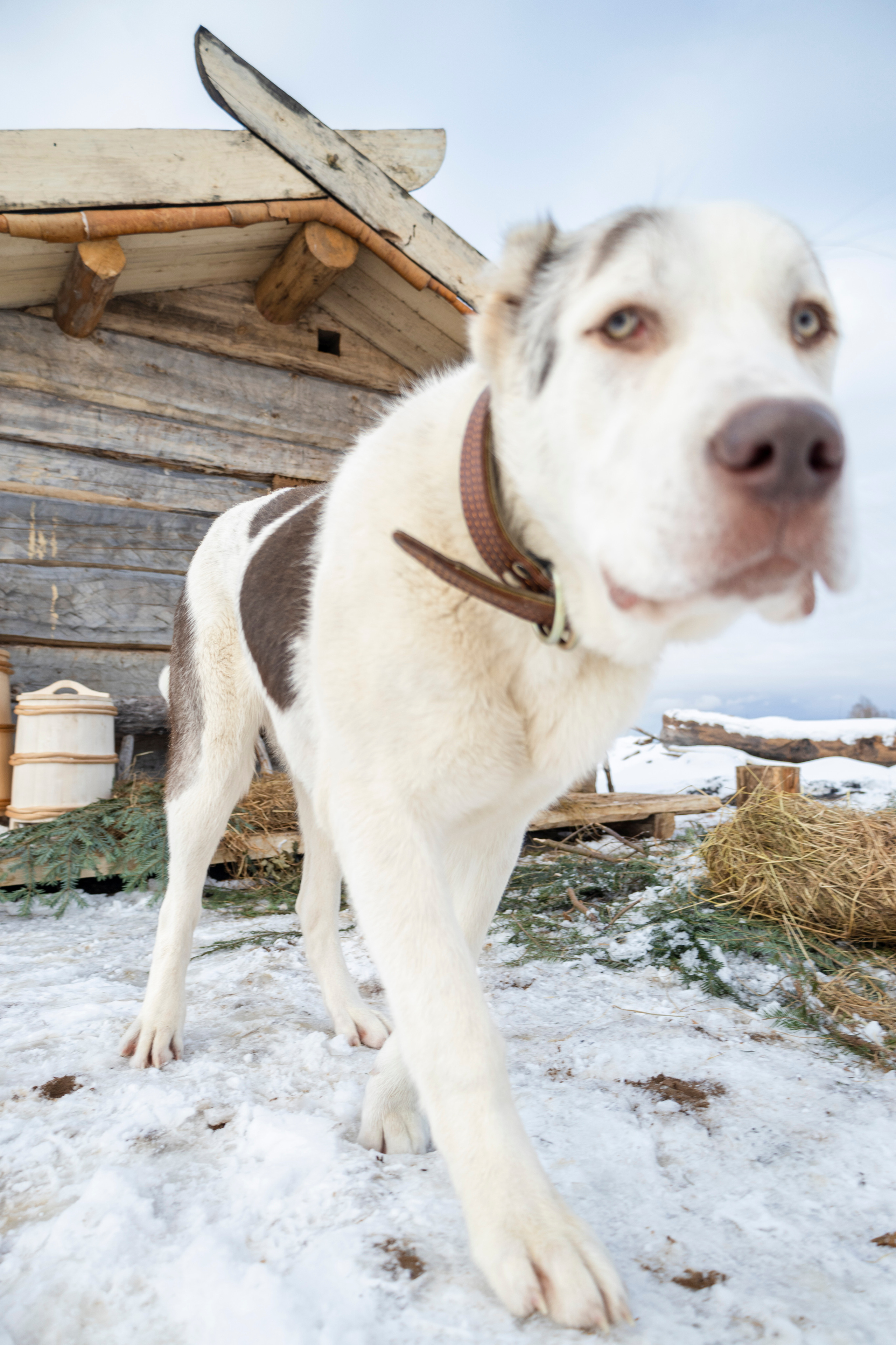 БАНЯ. Фотограф Анастасия Горлач в Калининграде