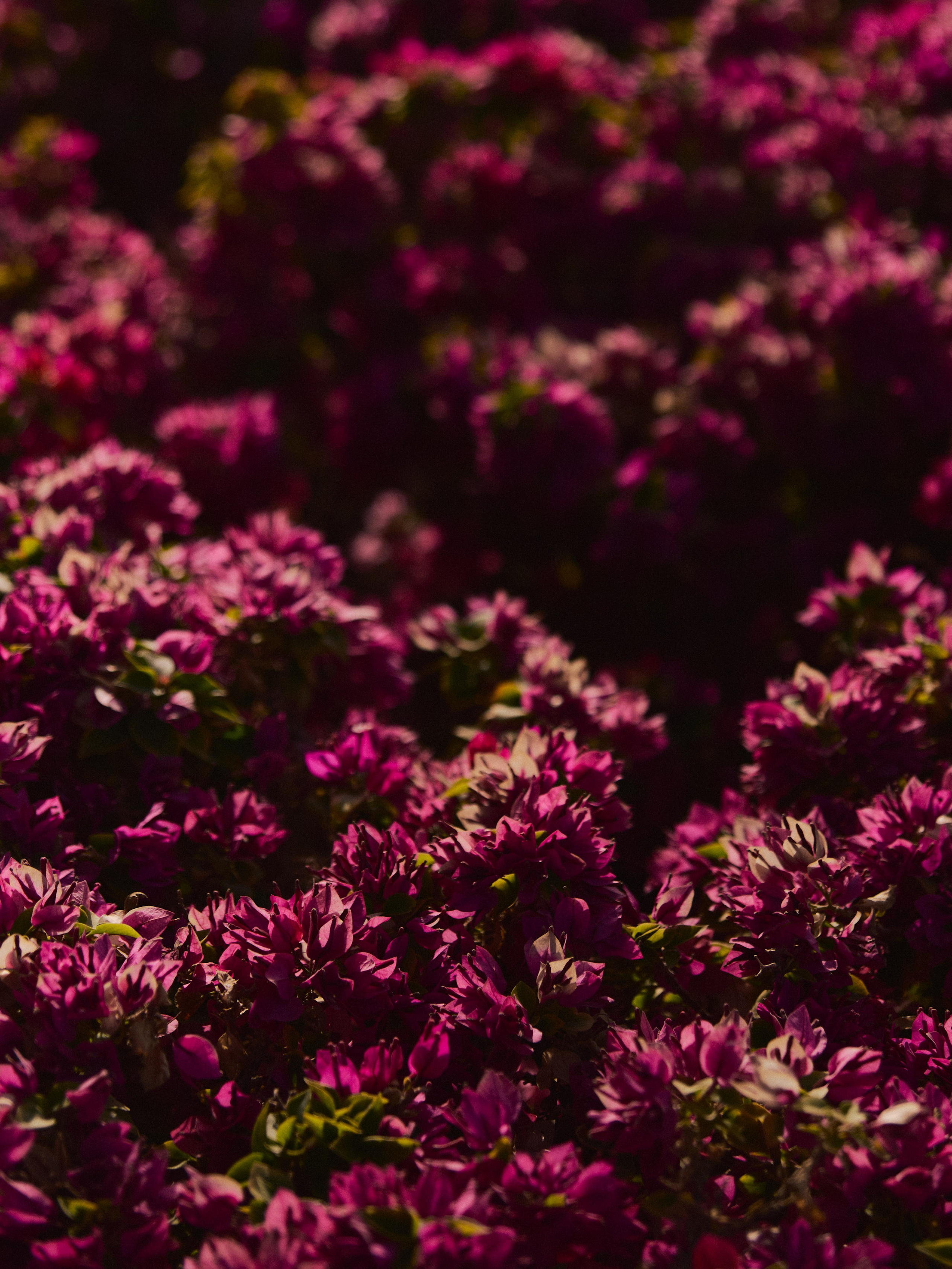 Природа. Jorgis Talè — photographer, kind person, teacher of arts and other mag