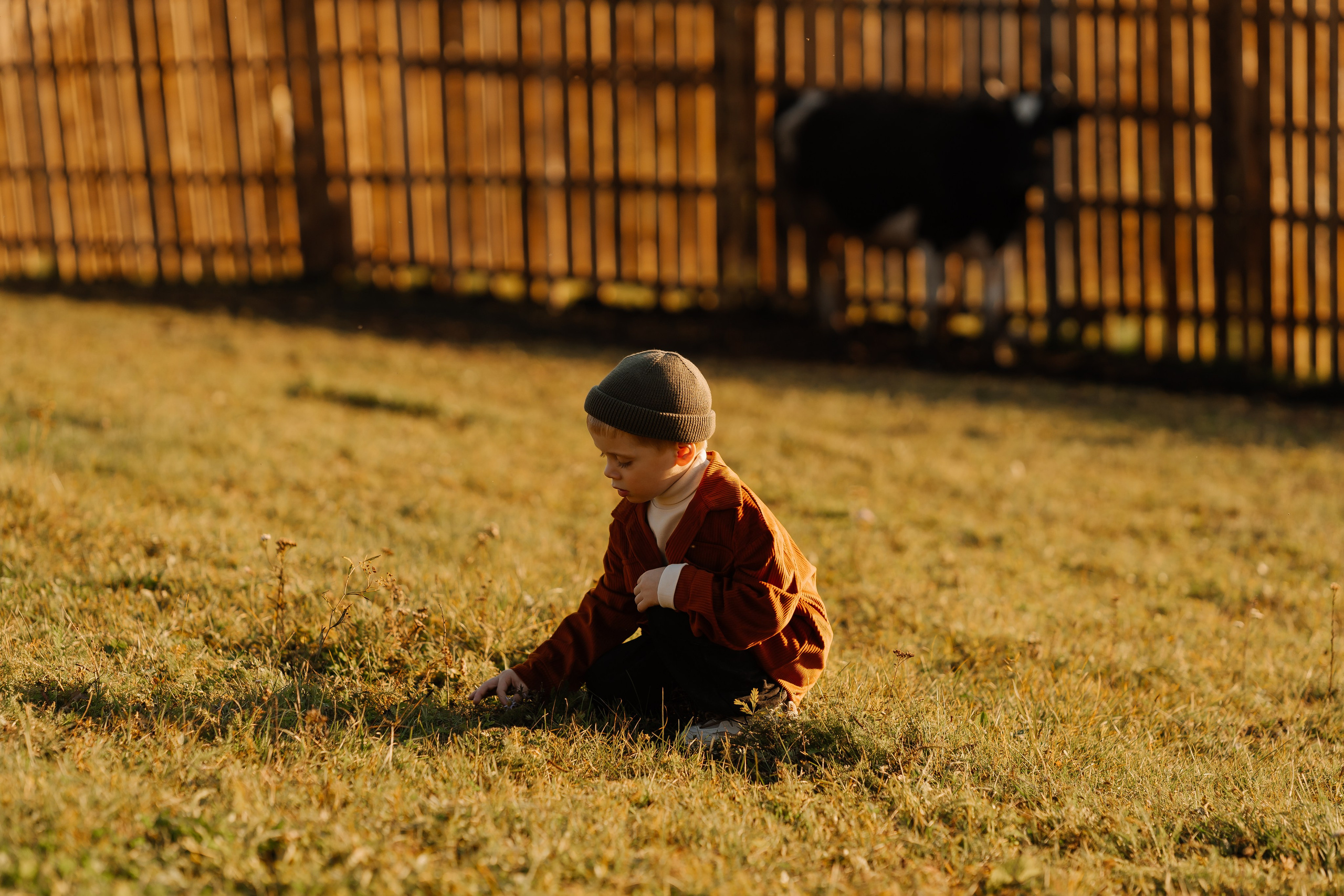 Андрей и Дарья. СВАДЕБНЫЙ ФОТОГРАФ КРАСНОЯРСК