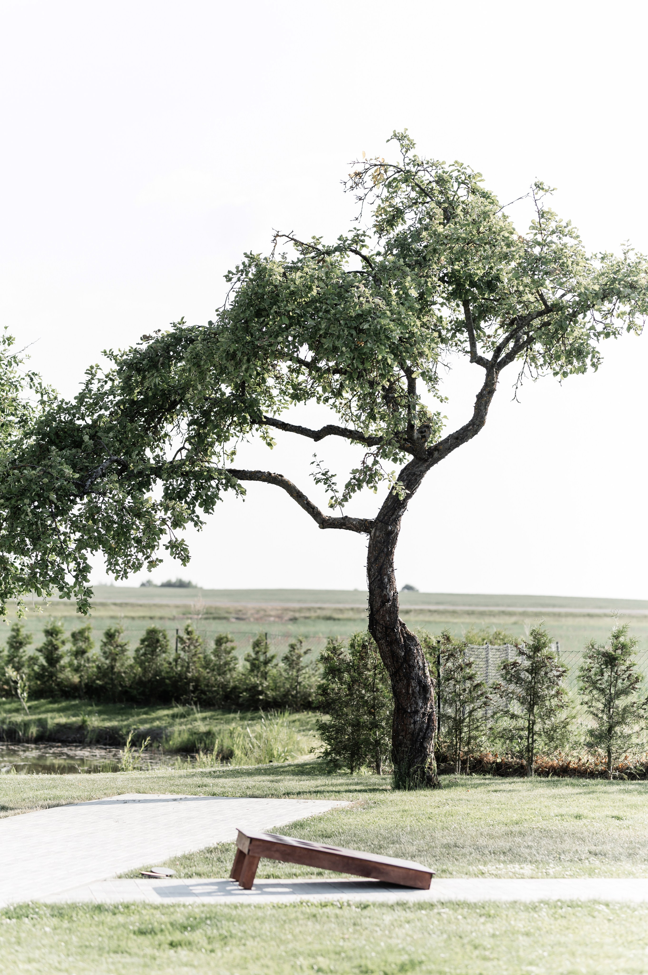 Виталий и Екатерина. Фотограф Кирилл Верт