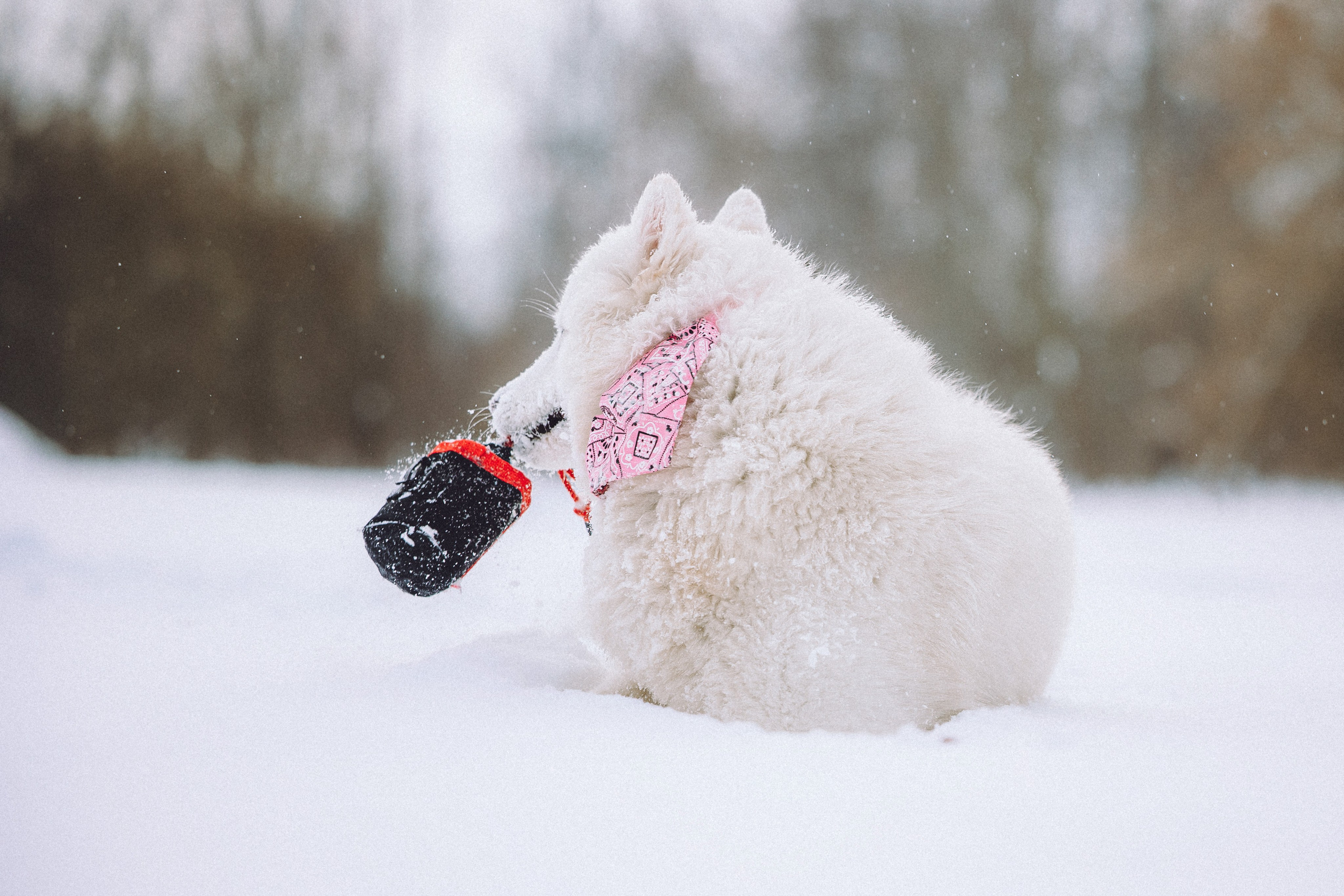 Мария и Мася