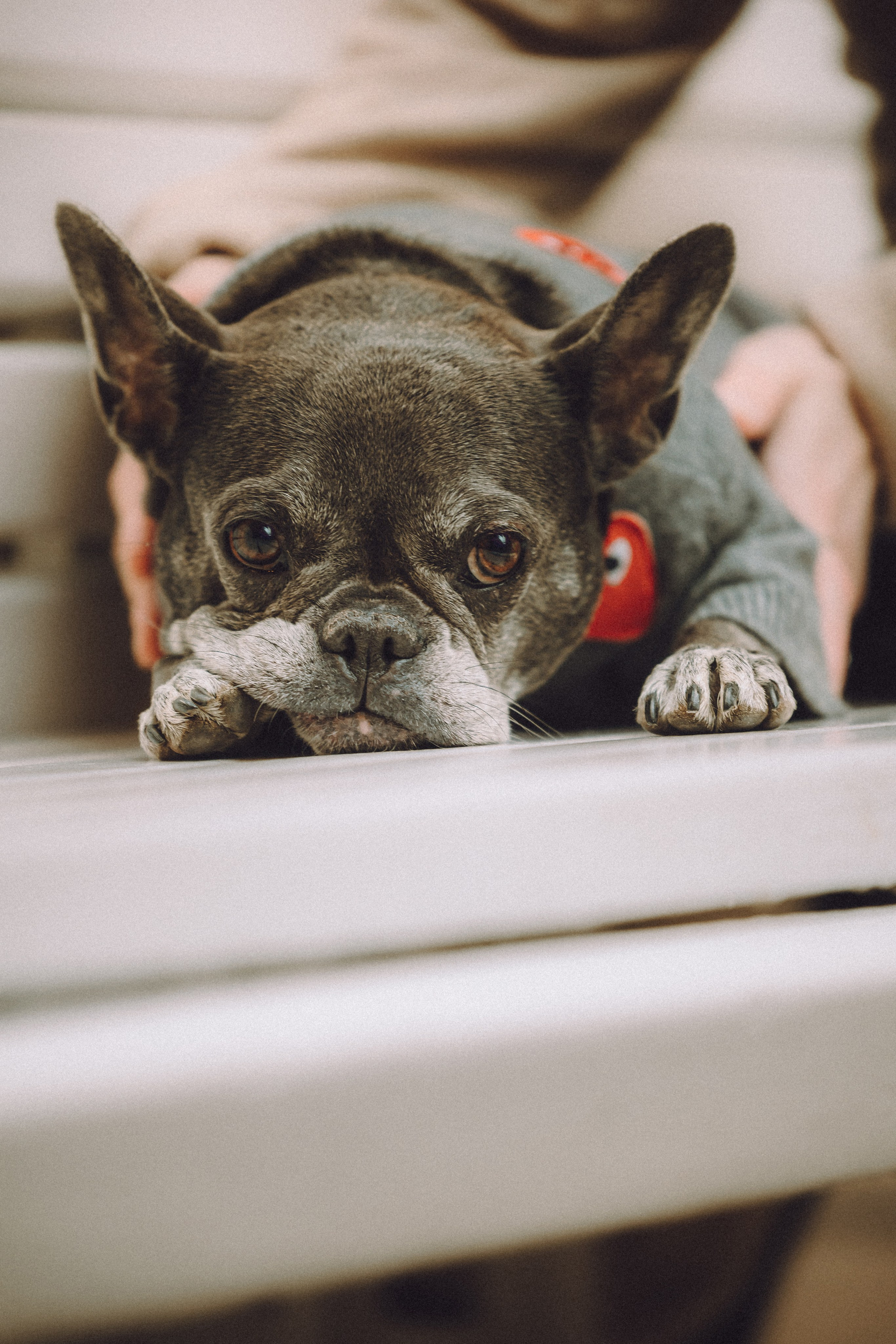 Юля, Вова и Моня