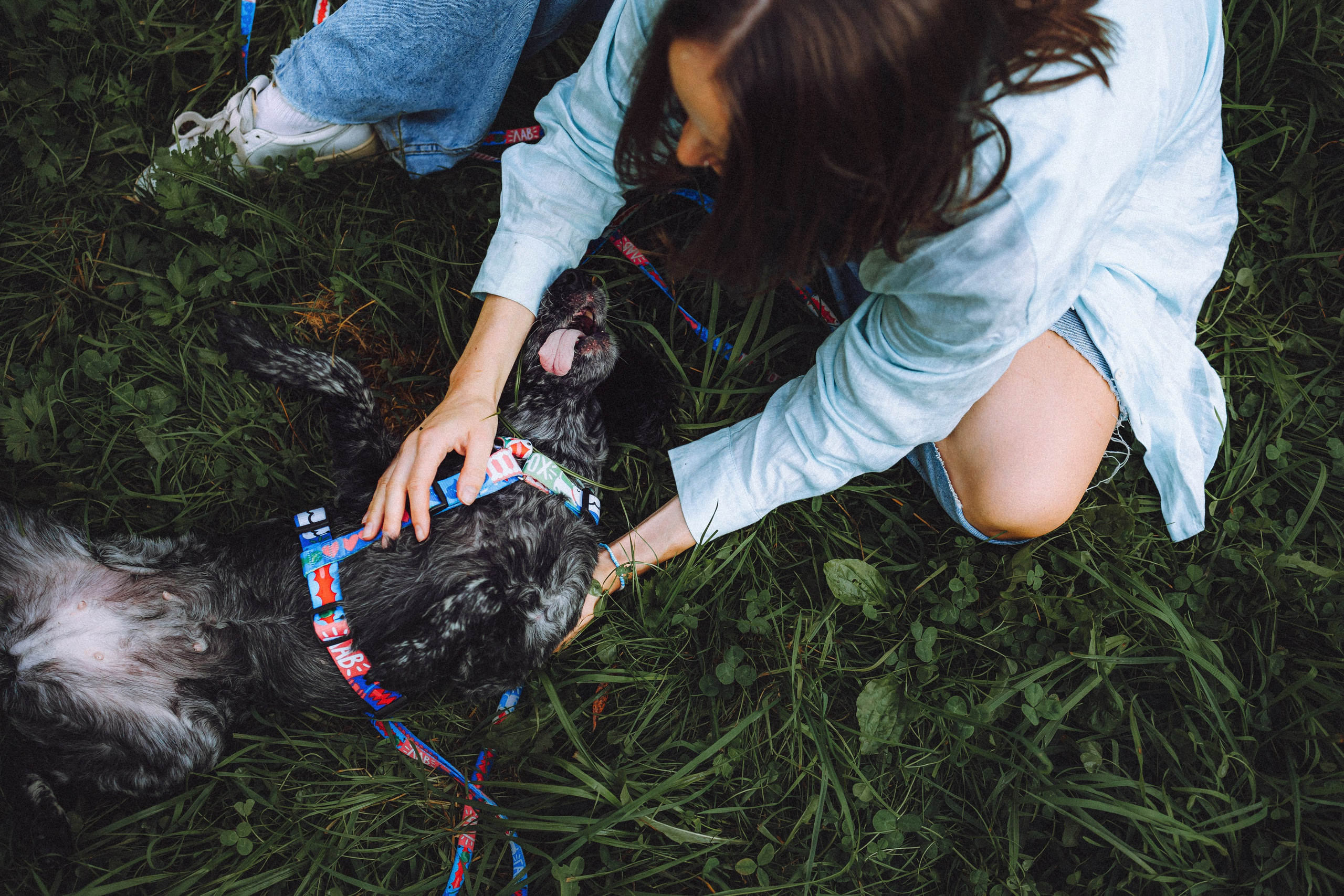 Маша и Ларри