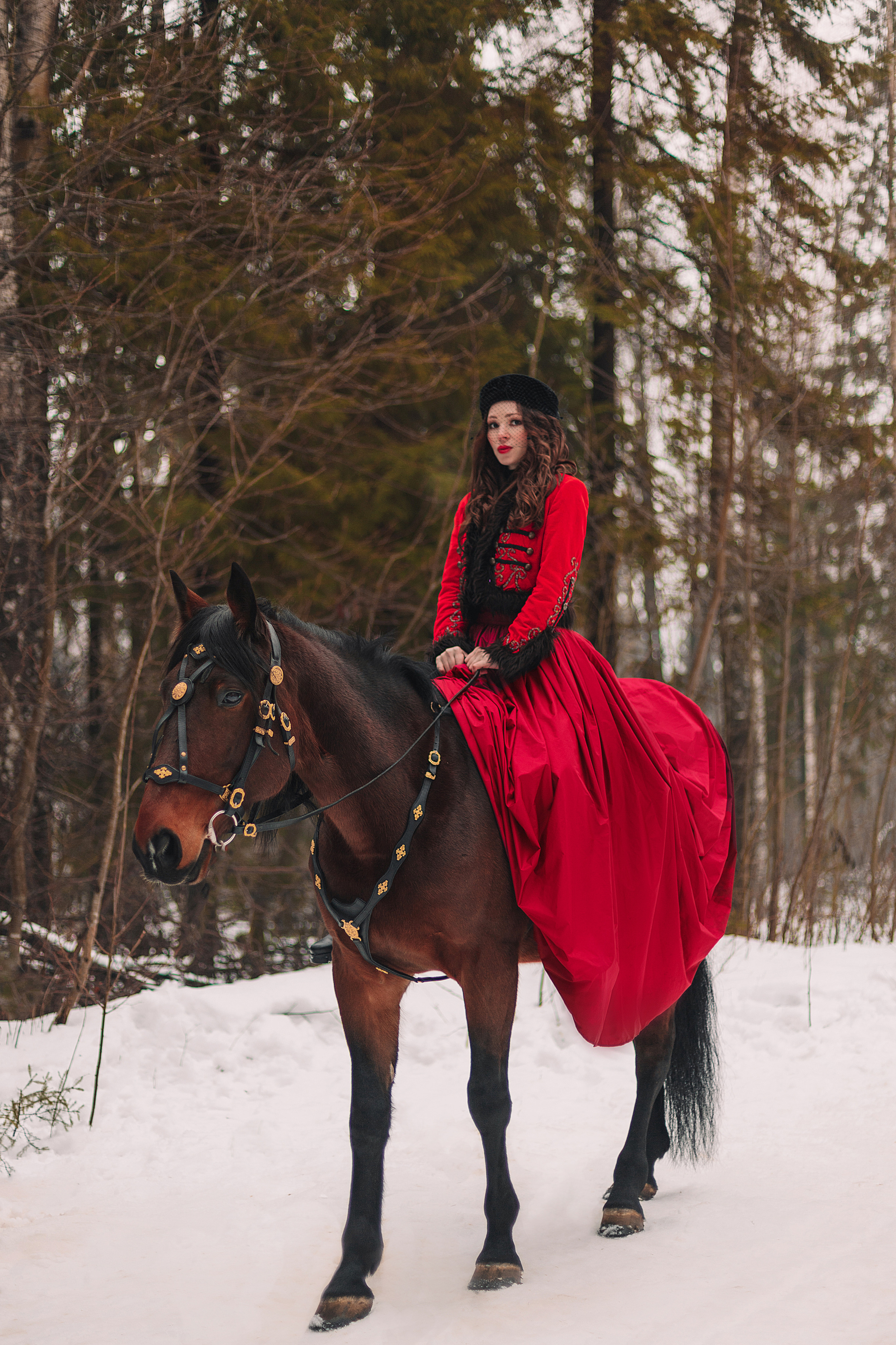Con animales. Fotógrafo en Buenos Aires