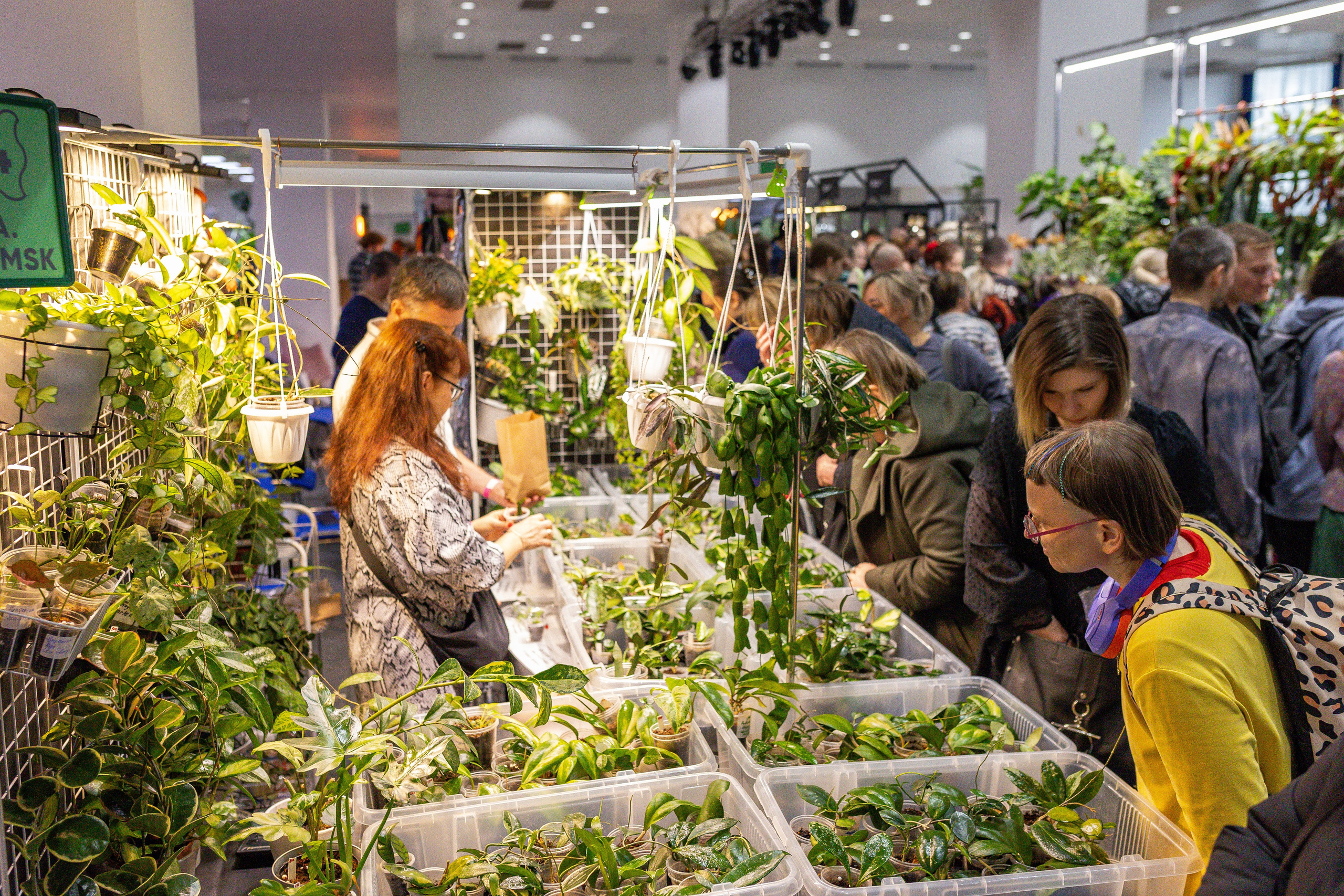 Монстериум апрель 2025. Александра Куликова фотограф, Москва