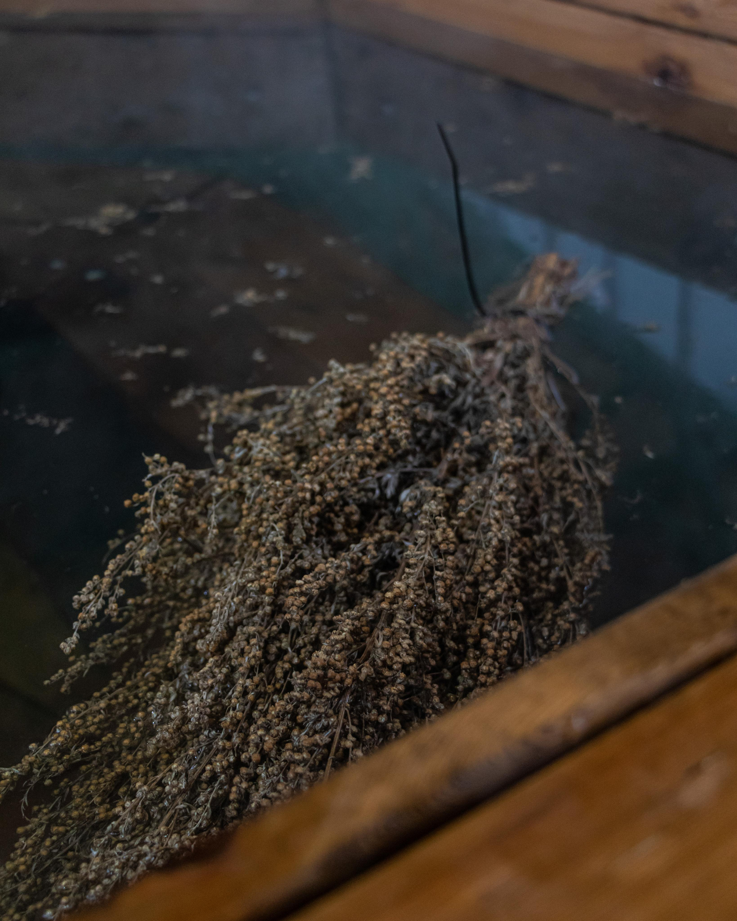 Фотосессия для Банного комплекса «Быковские бани». Лиза Кутанина — профессиональный семейный и портретный фотограф в Жуковском |Съемка в студии | Фотосессии в Жуковском и Раменском