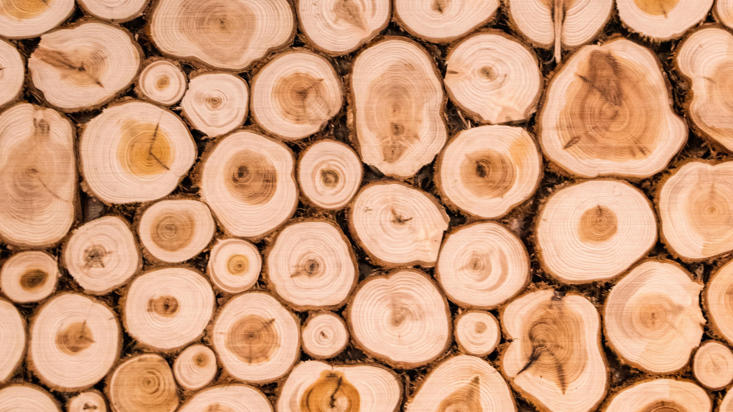 Фотосессия для Банного комплекса «Быковские бани». Лиза Кутанина — профессиональный семейный и портретный фотограф в Жуковском |Съемка в студии | Фотосессии в Жуковском и Раменском