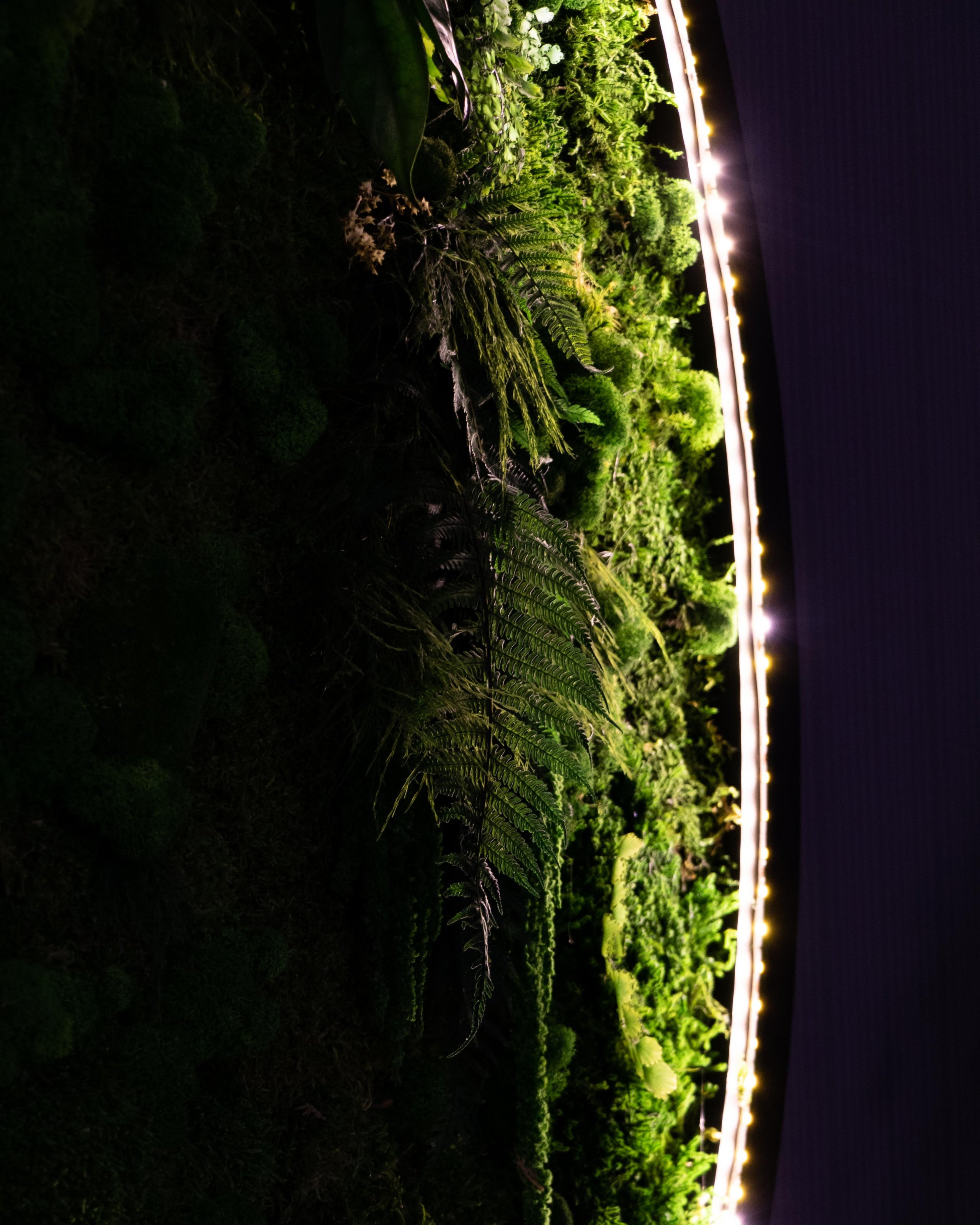 Татьяна Самотоина Жуковский организатор пространства тренер организованности. Лиза Кутанина — семейный фотограф и фотограф беременных в Жуковском