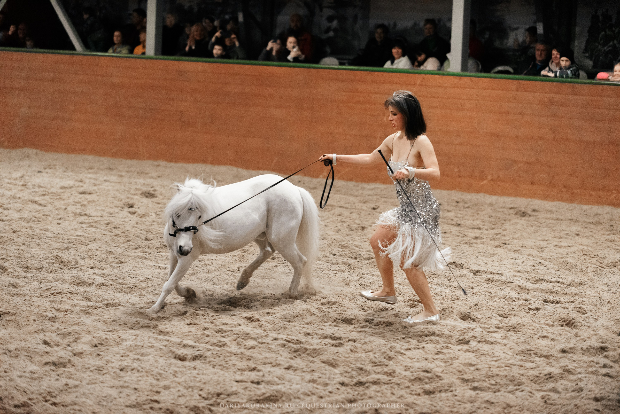 Конное представление «Дыхание Звёзд». Конный фотограф Куракина Дарья • Фотосессии с лошадьми