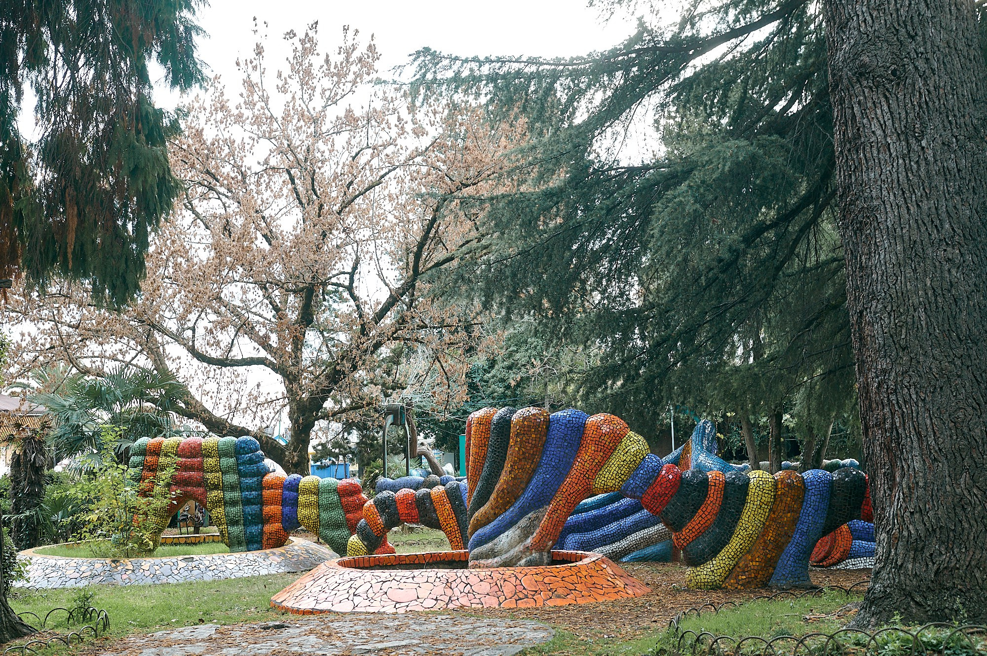 Гагра, Абхазия. Декабрь 2024. Фотографии отовсюду и обо всем