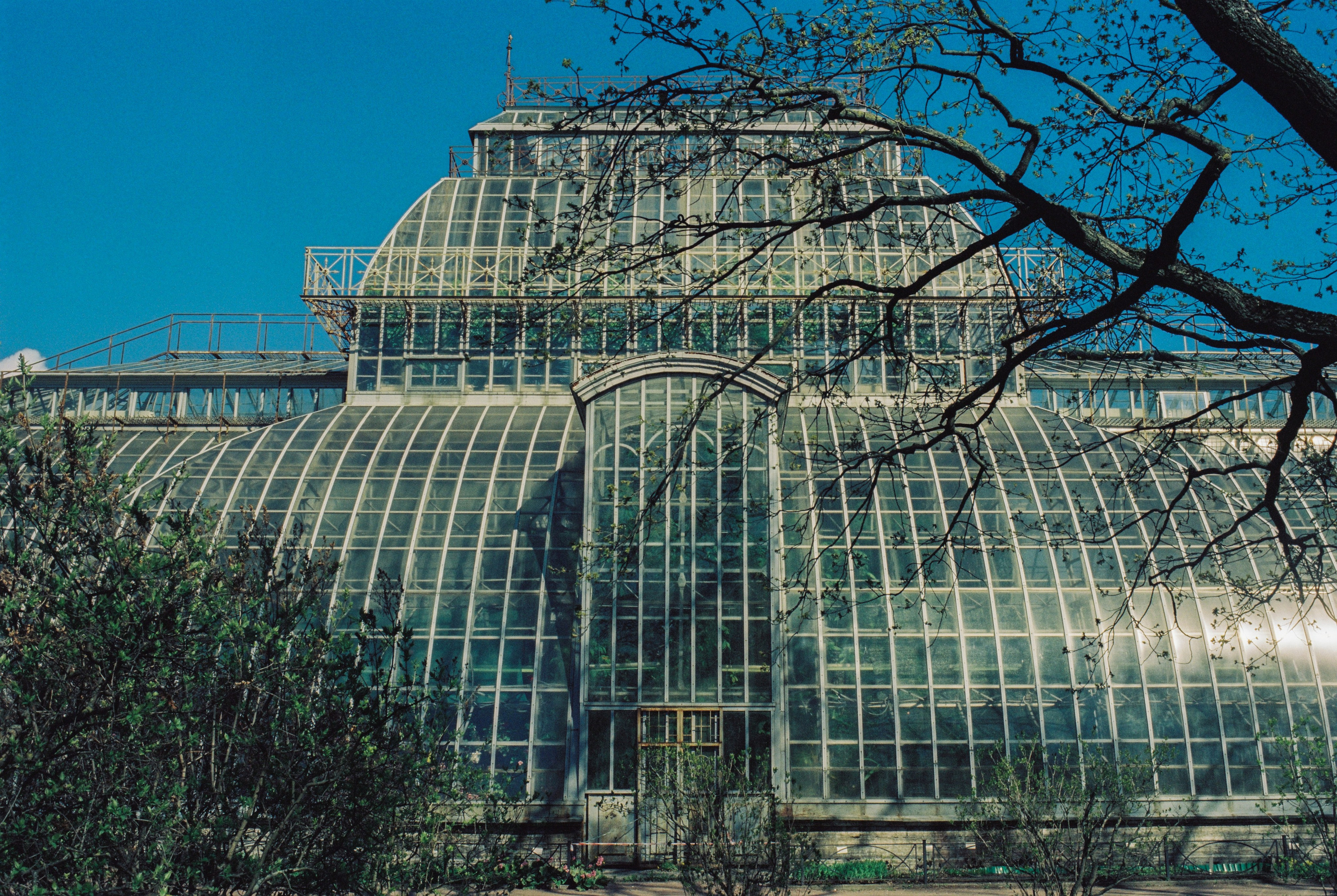 Плёночная весна 2025. Илья Михачёв Фотограф ПРО людей