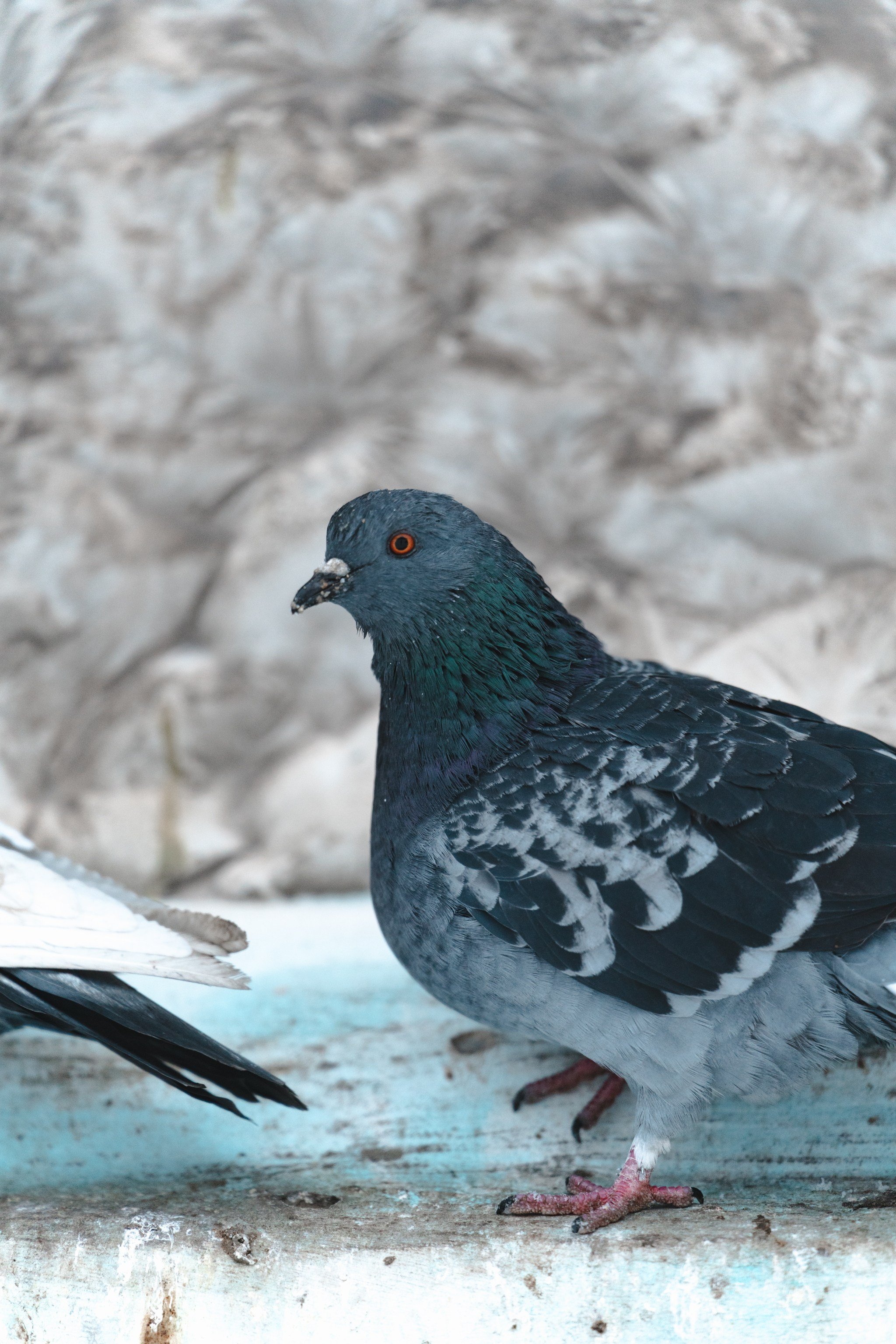 Воркута, Октябрь 2024