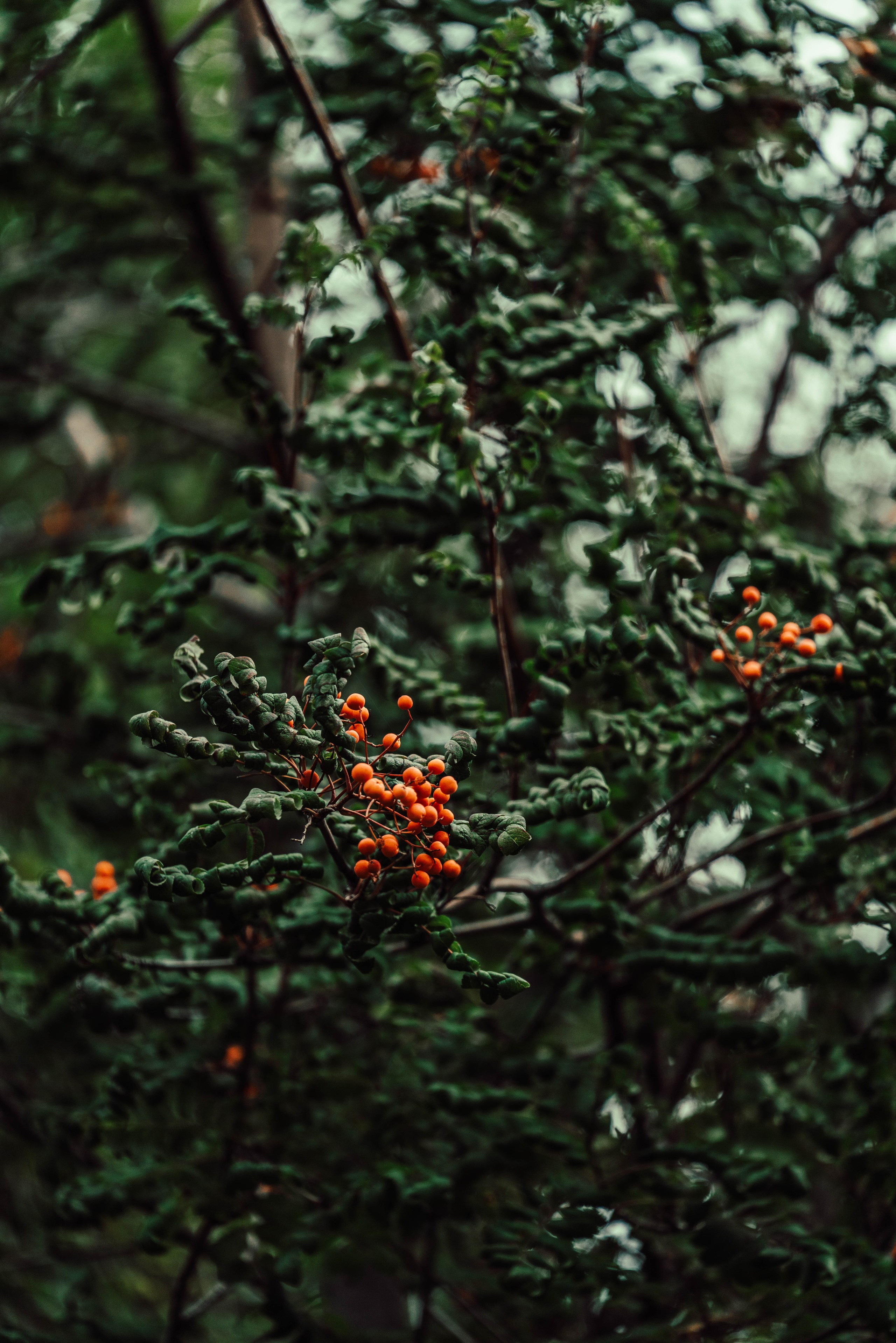 Усть-Каменогорск, Сентябрь 2024