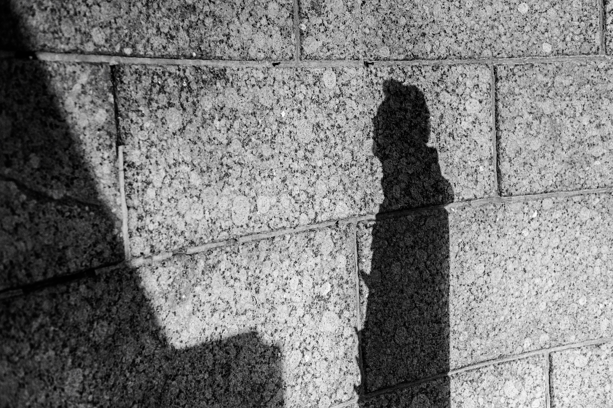 Владимр. Сергей Виноградов фотограф Россия Санкт-Петербург