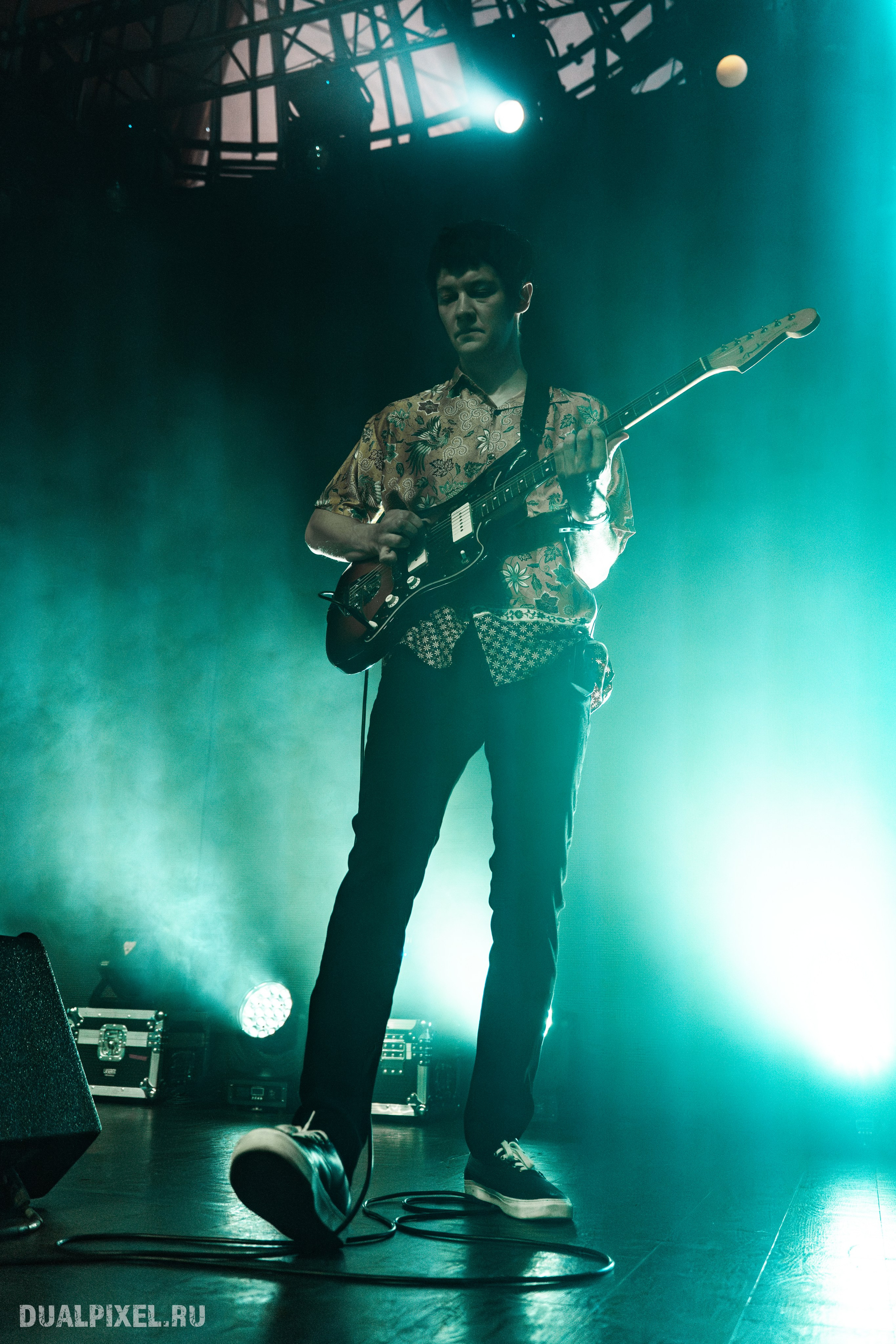 Дельфин. Магия музыки в кадре: Концертная Фотография