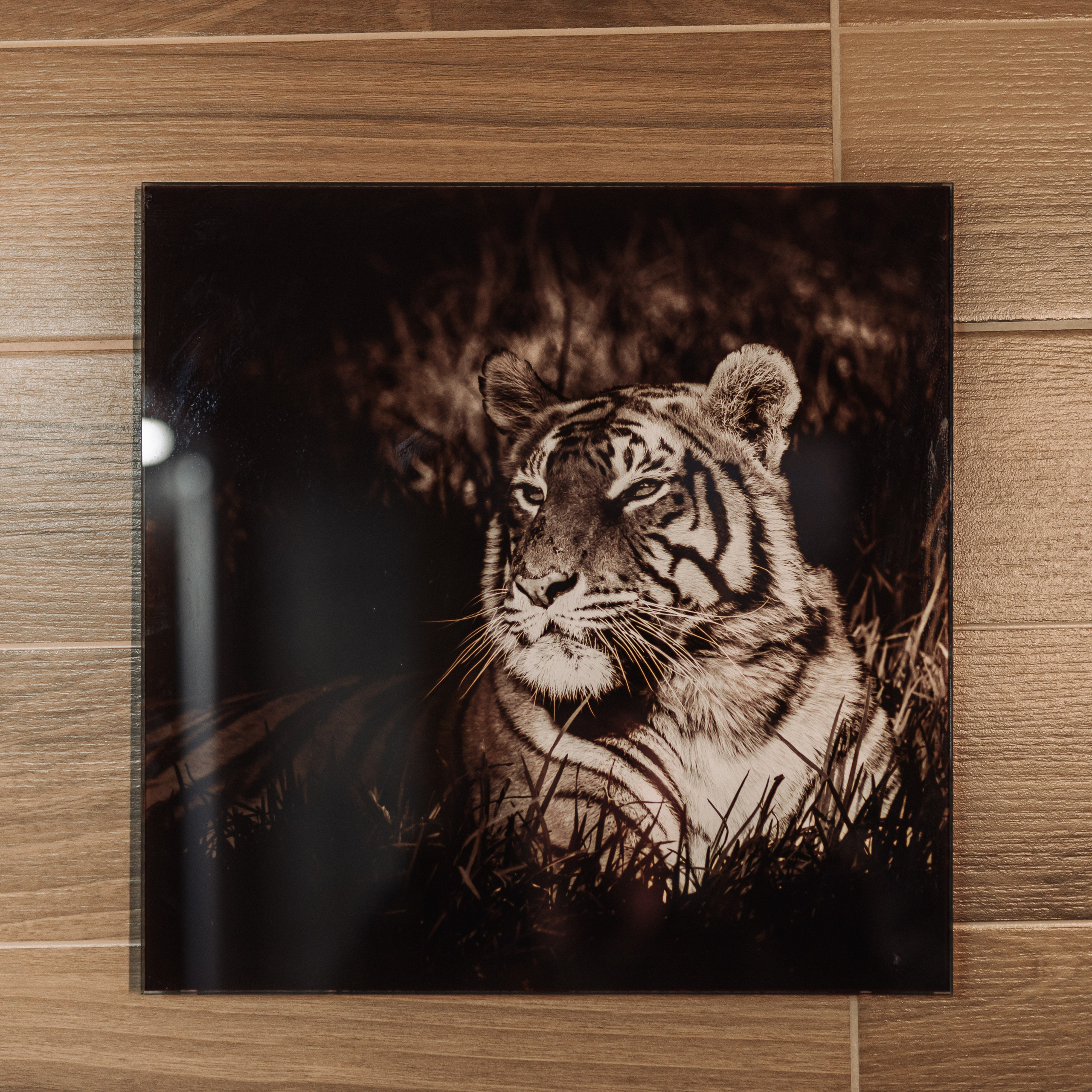 База «Бирюза». Свадебная  съемка на Алтае