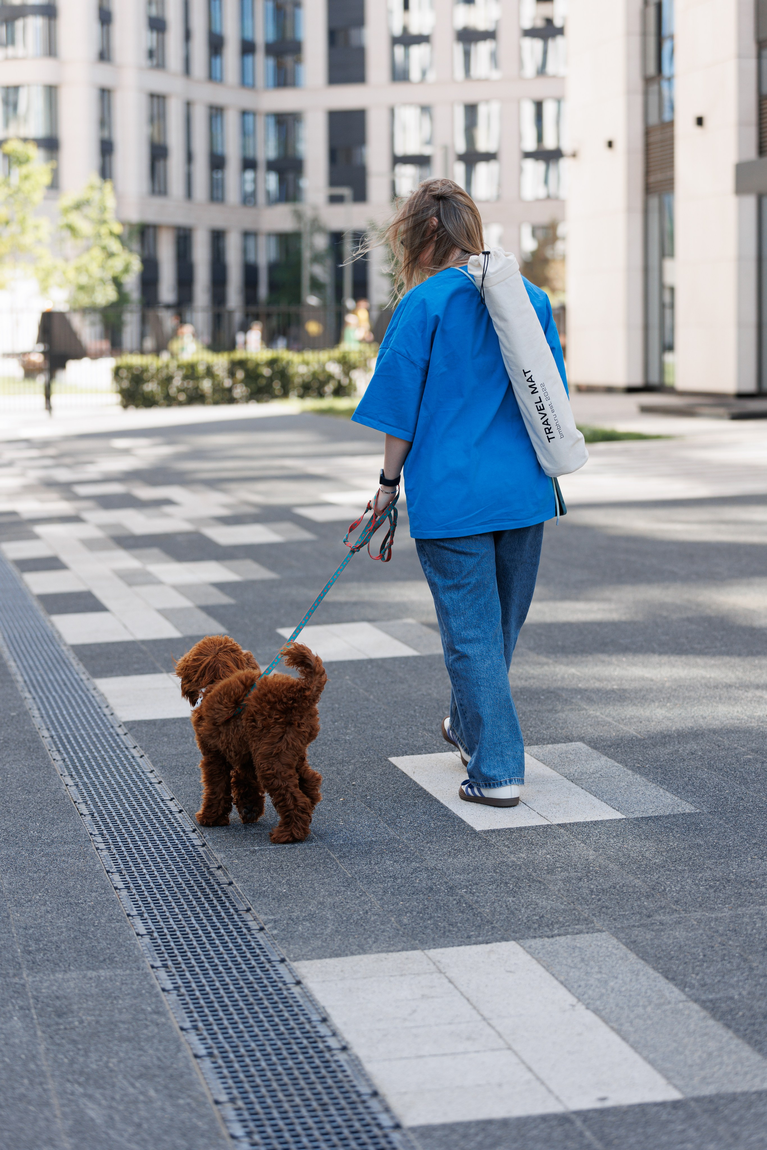 Bmbh городская. Фотограф анималист Кристина Карпова, Москва